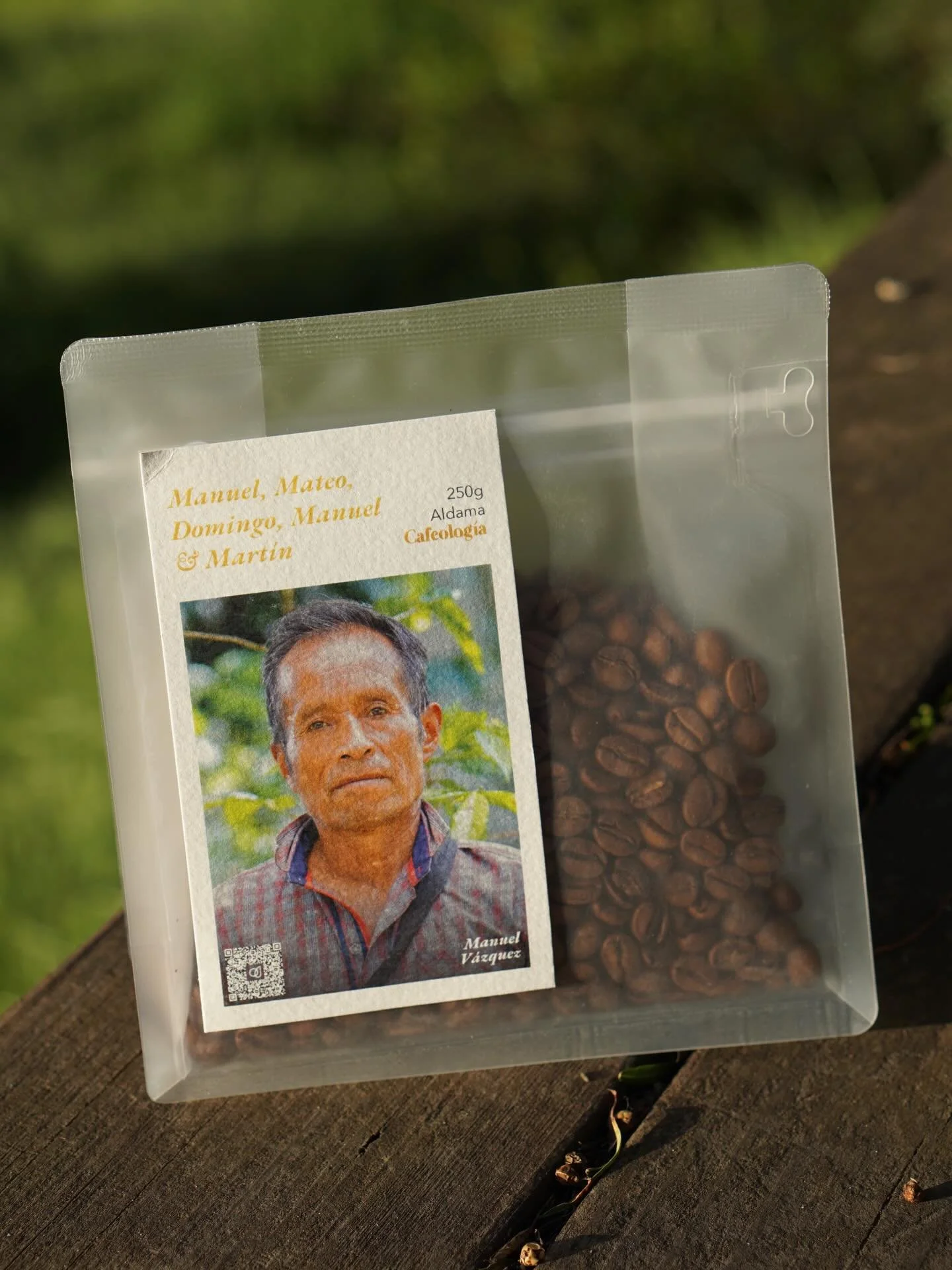 Chiapas Honey 

Roasted by Cafeolog&iacute;a in San Crist&oacute;bal de las Casas, Chiapas. 

Produced by a collective of Tsotsil micro- and nano-farmers in Aldama, Chiapas, this lot brings together daily harvests at the Beneficio Comunitario of San 