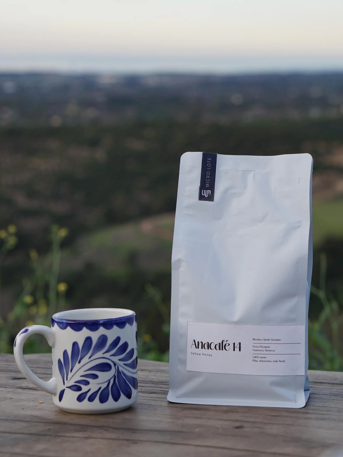 Before the world accelerates each morning, there is a quiet moment shared across continents.

For many households across our continent, coffee is a morning ritual.

Mexican specialty coffee is not about novelty&mdash;
it&rsquo;s about reconnection to