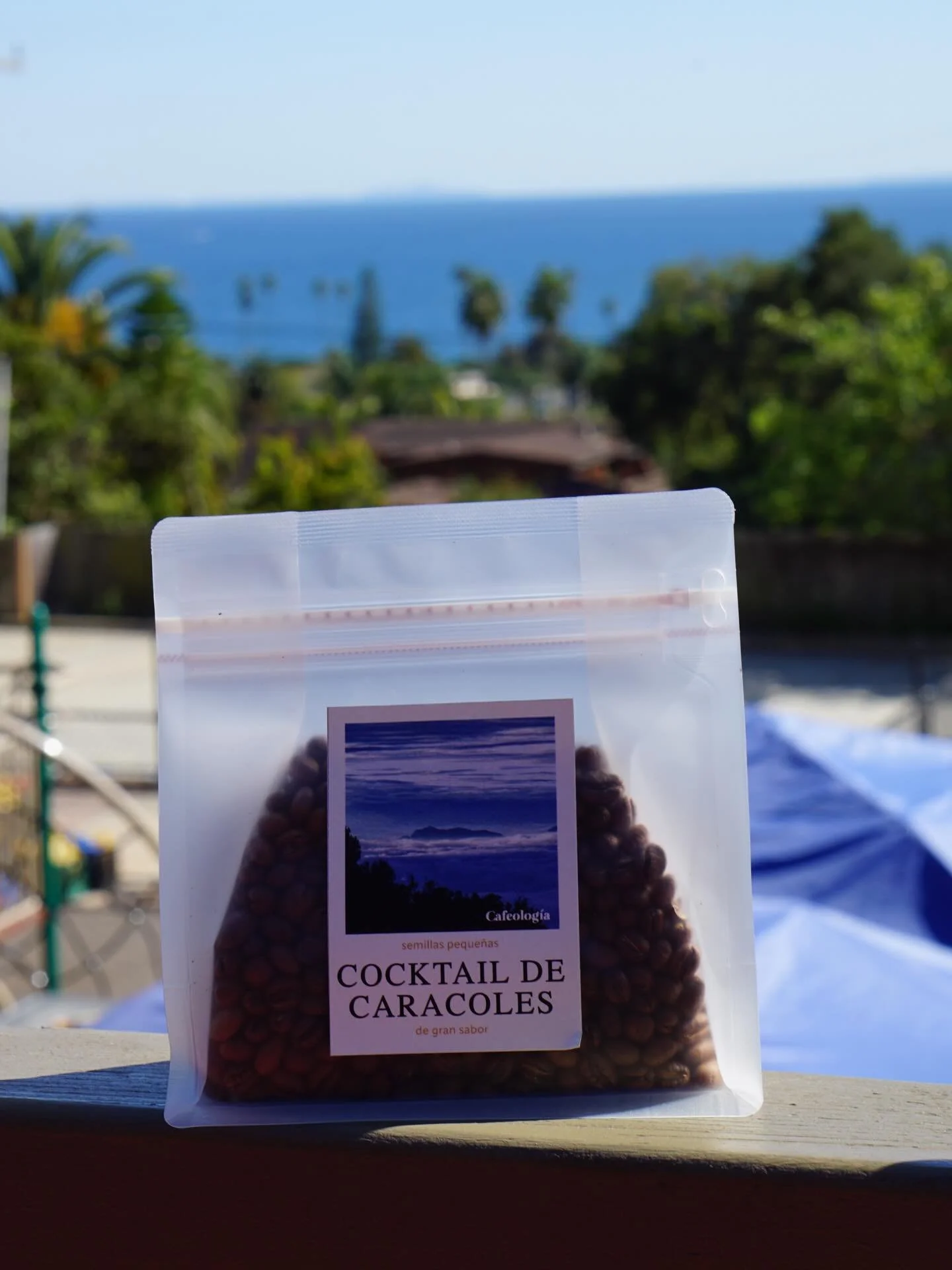 Ultimate taste of Chiapas, Mexico.

Balanced. Sweet. Quietly complex.

Available now at North American Coffee Company. 

🇲🇽 &harr; 🇺🇸

#specialtycoffee #thirdwavecoffee #mexicancoffee #coffeeorigin #directtradecoffee