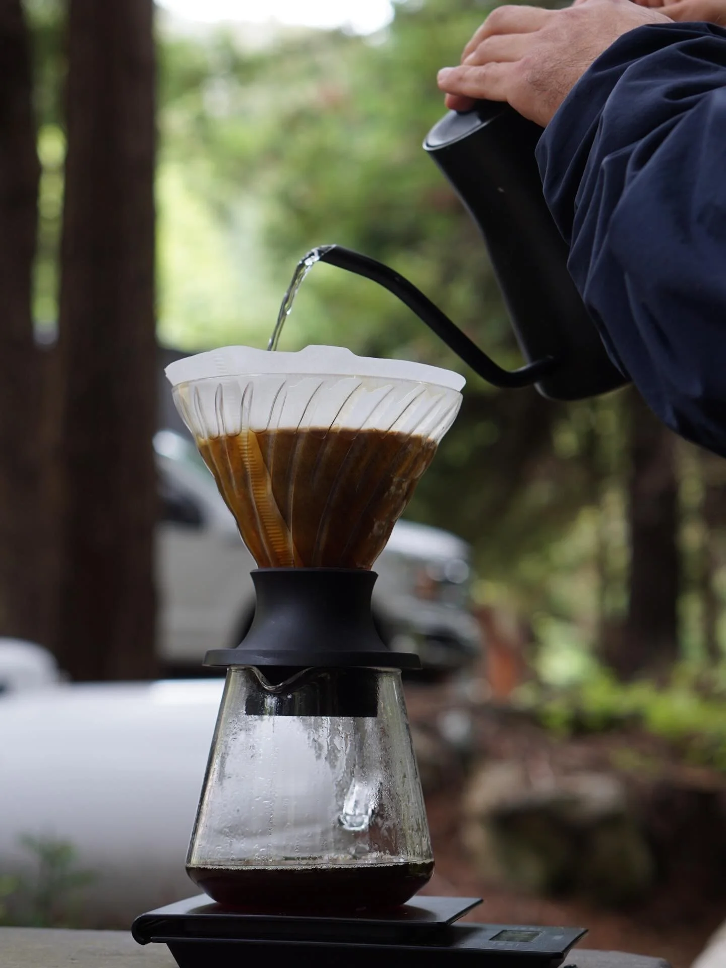 At North American Coffee Company, we believe great coffee starts with people who care deeply about process, place, and every pour that follows.

From the best Mexican roasters to your cup, we&rsquo;re here for coffee made with intention.

#thirdwavec