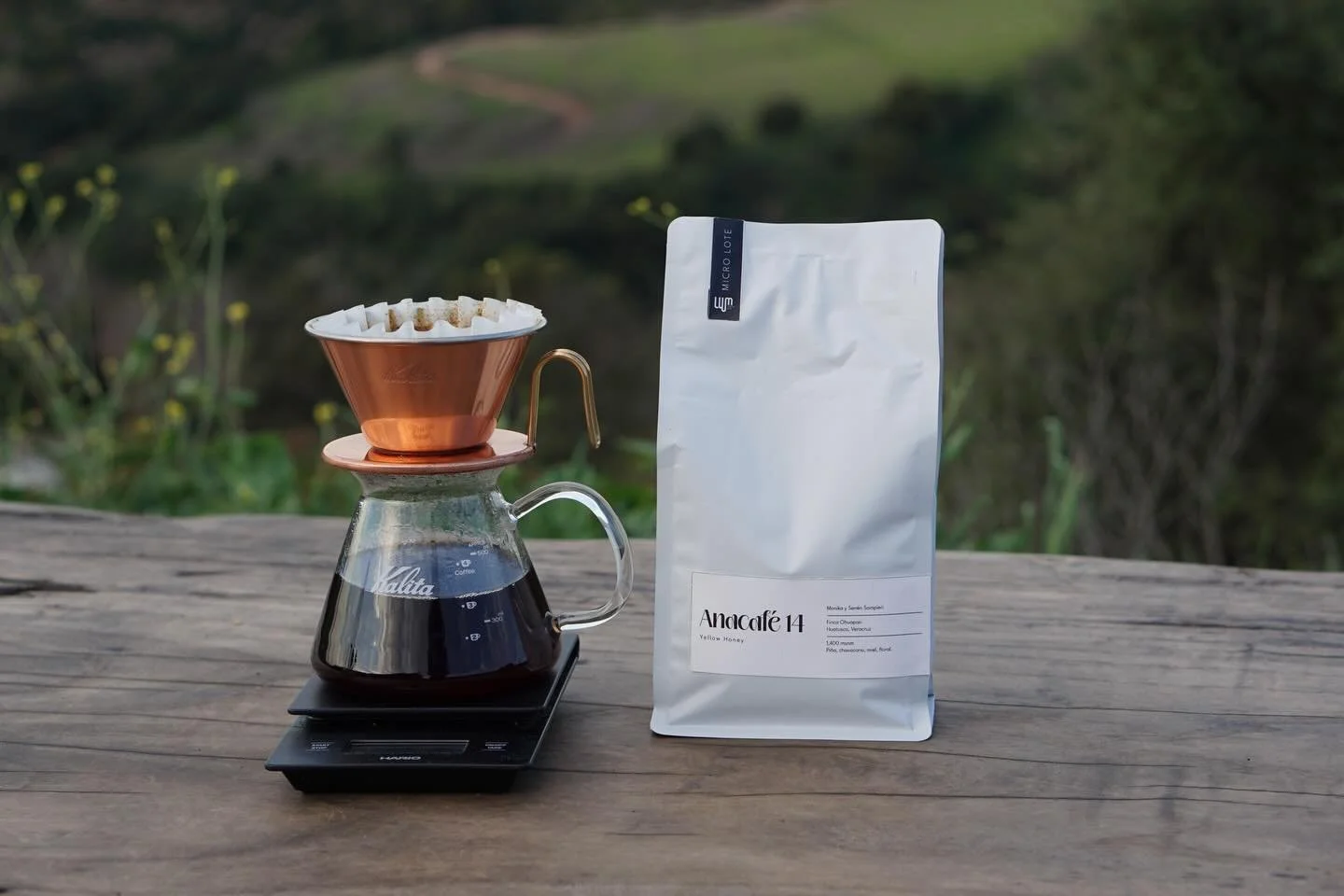 Working with roasters across Mexico who care deeply about their craft is at the heart of what we do.

Every coffee we share is the result of that collaboration&mdash;people, place, and process coming together in a way that you can actually taste.

Fr