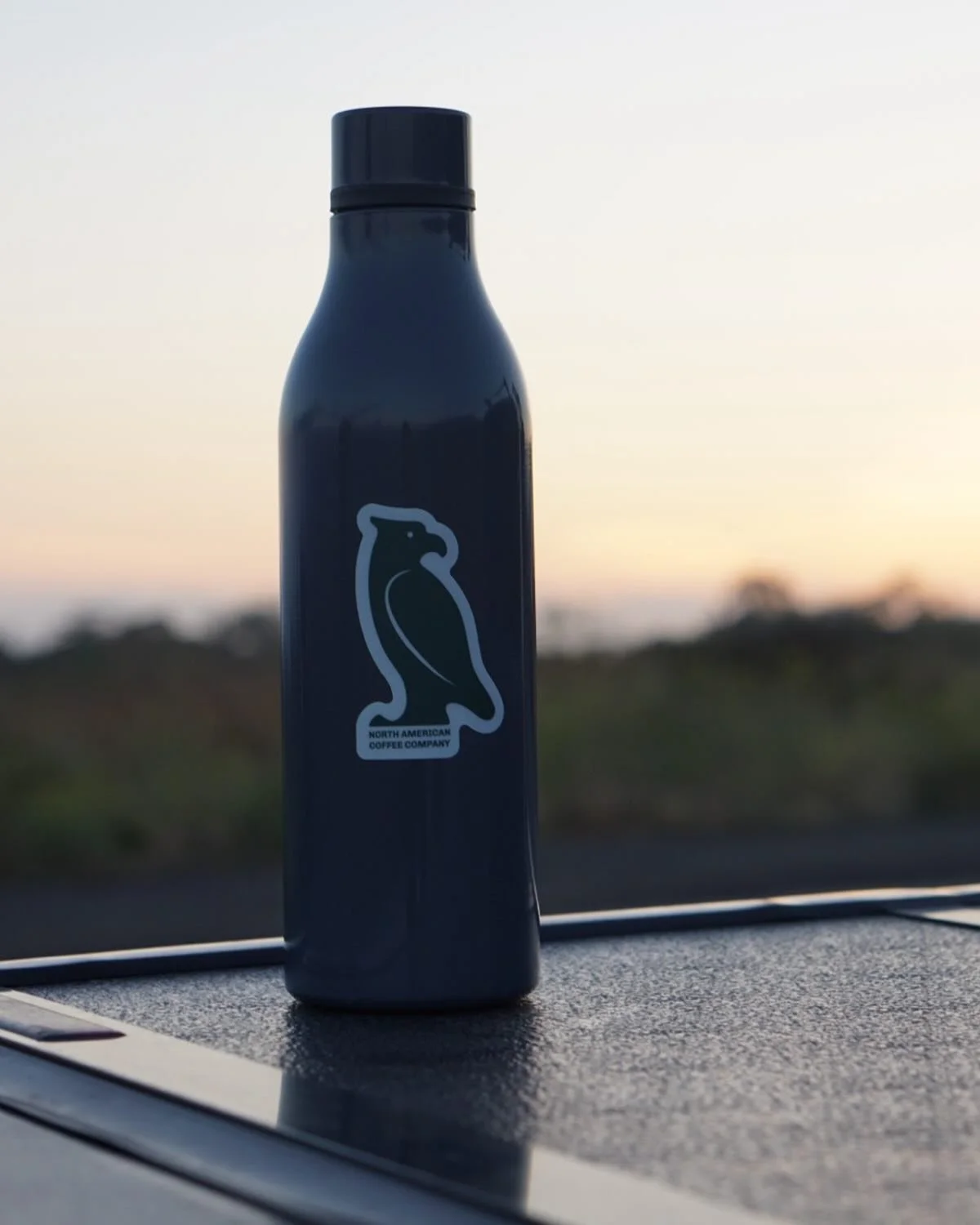 The eagle, an important symbol for both U.S. and Mexico, represents what NACC is built on&mdash;connection across borders, movement, and a bigger vision for Mexican specialty coffee.

From roasters across Mexico to cups here in the U.S., every bag ca
