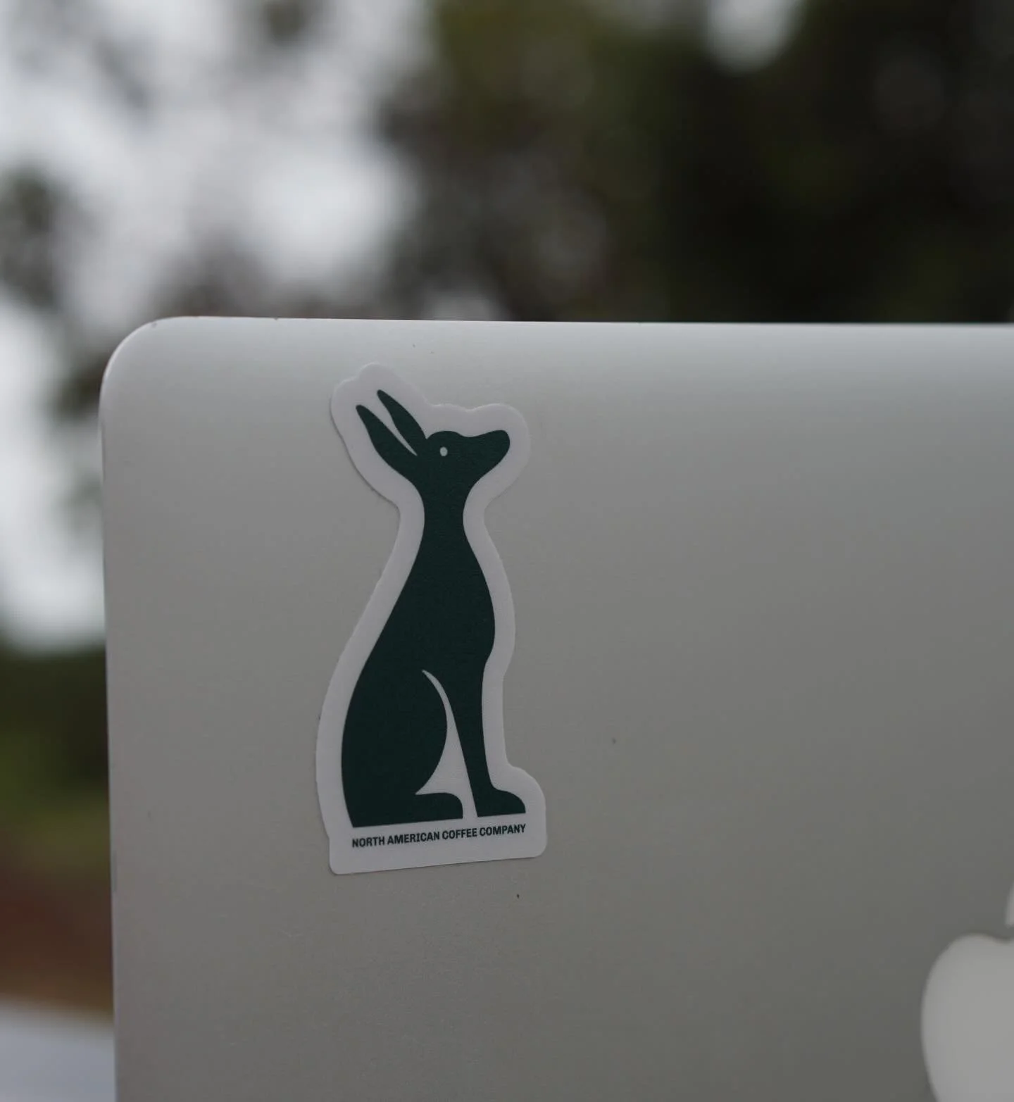 The Xoloitzcuintli has existed in Mexico for thousands of years as an enduring symbol of loyalty, resilience, guidance, and connection to heritage. That history is part of why it became a part of our identity at NACC.

We wanted our brand to represen