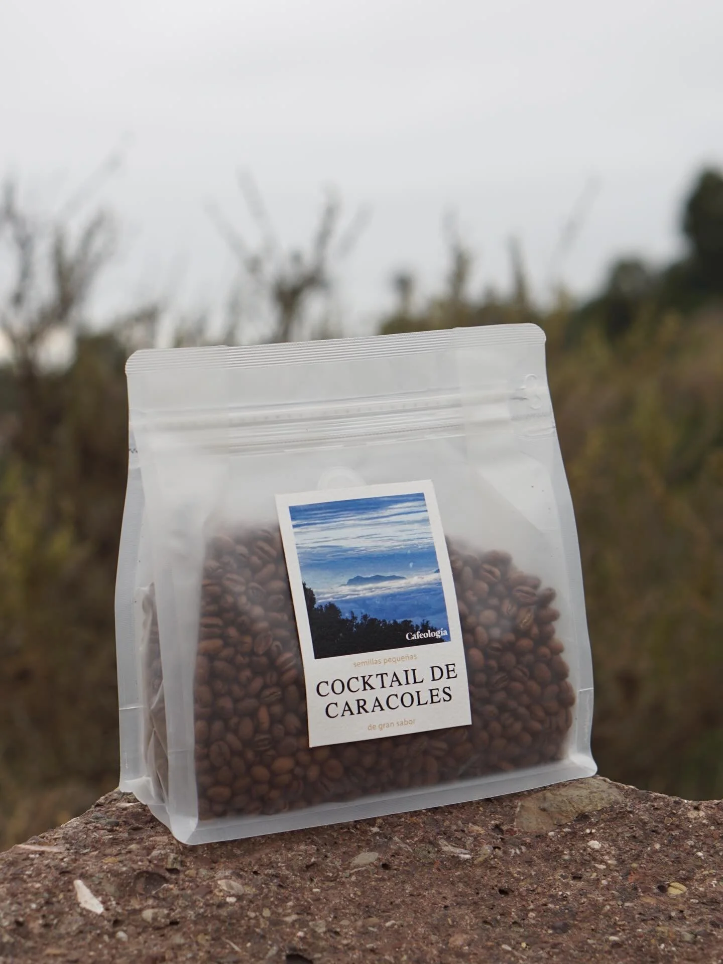 Chiapas Blend 

Our 500g bags are for the people who&rsquo;ve found a coffee worth coming back to.

Thoughtfully roasted in Mexico. Intentionally sourced. Shared with care.

🇲🇽 &harr;