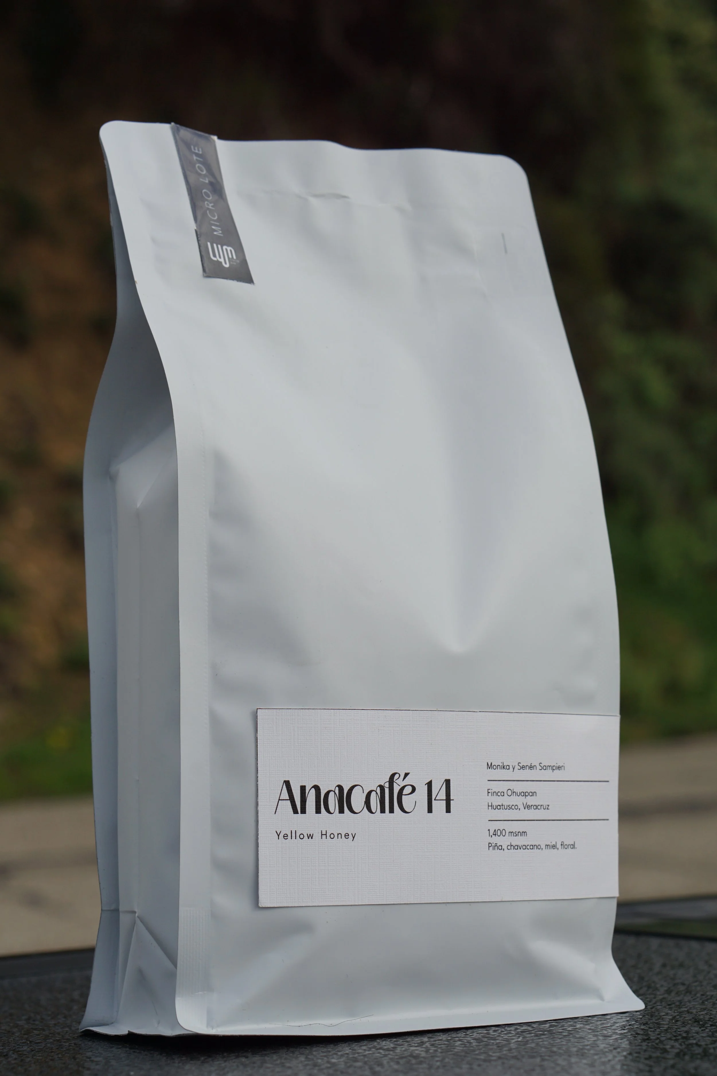 Veracruz Yellow Honey (2).JPG