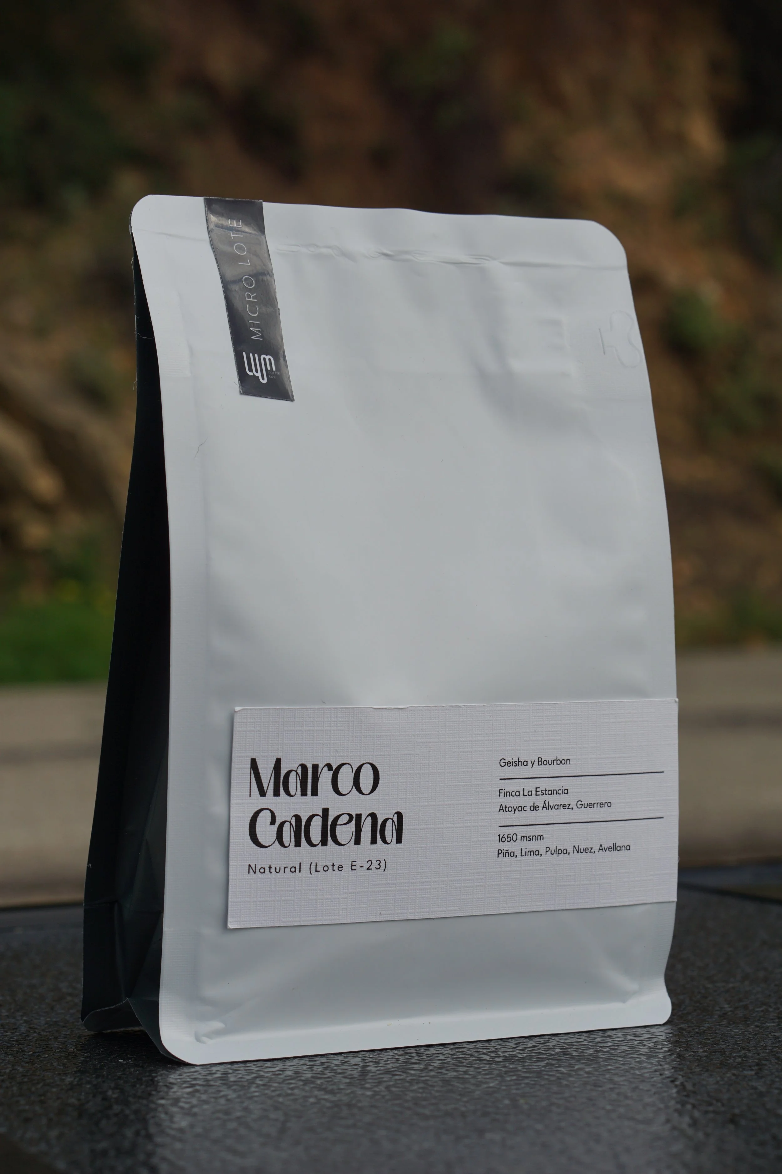 Guerrero Geisha Bourbon (3).JPG