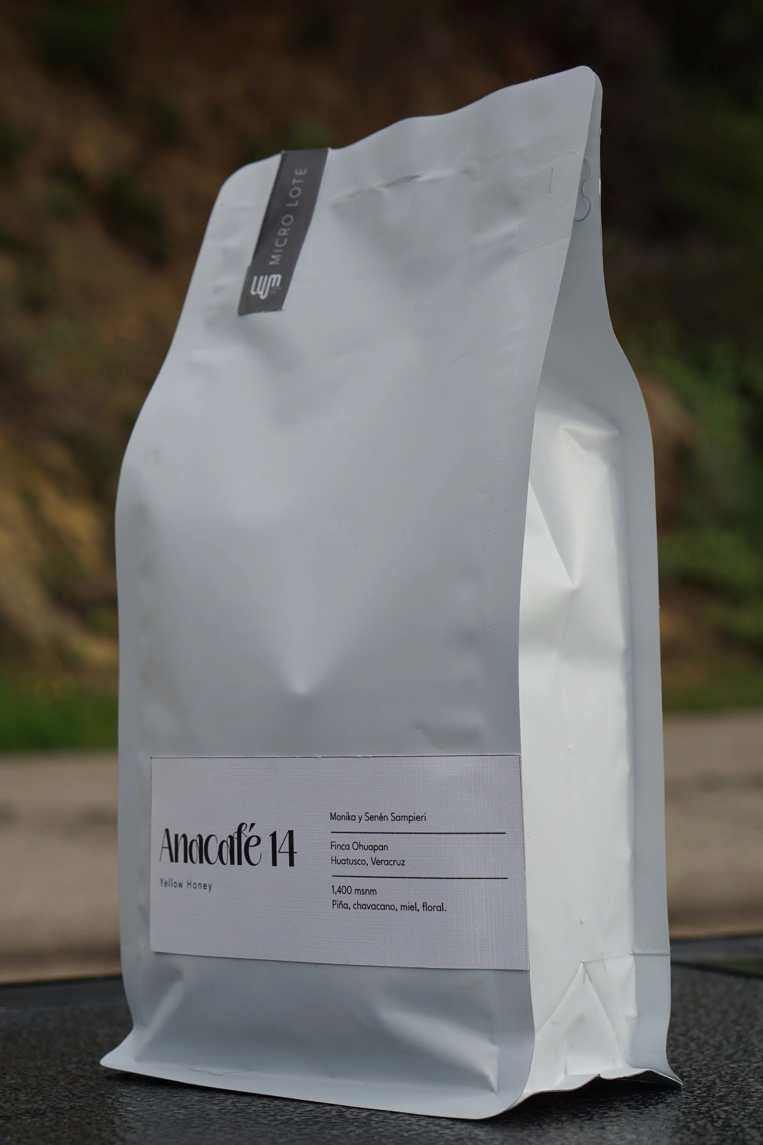 Veracruz Yellow Honey (3).JPG