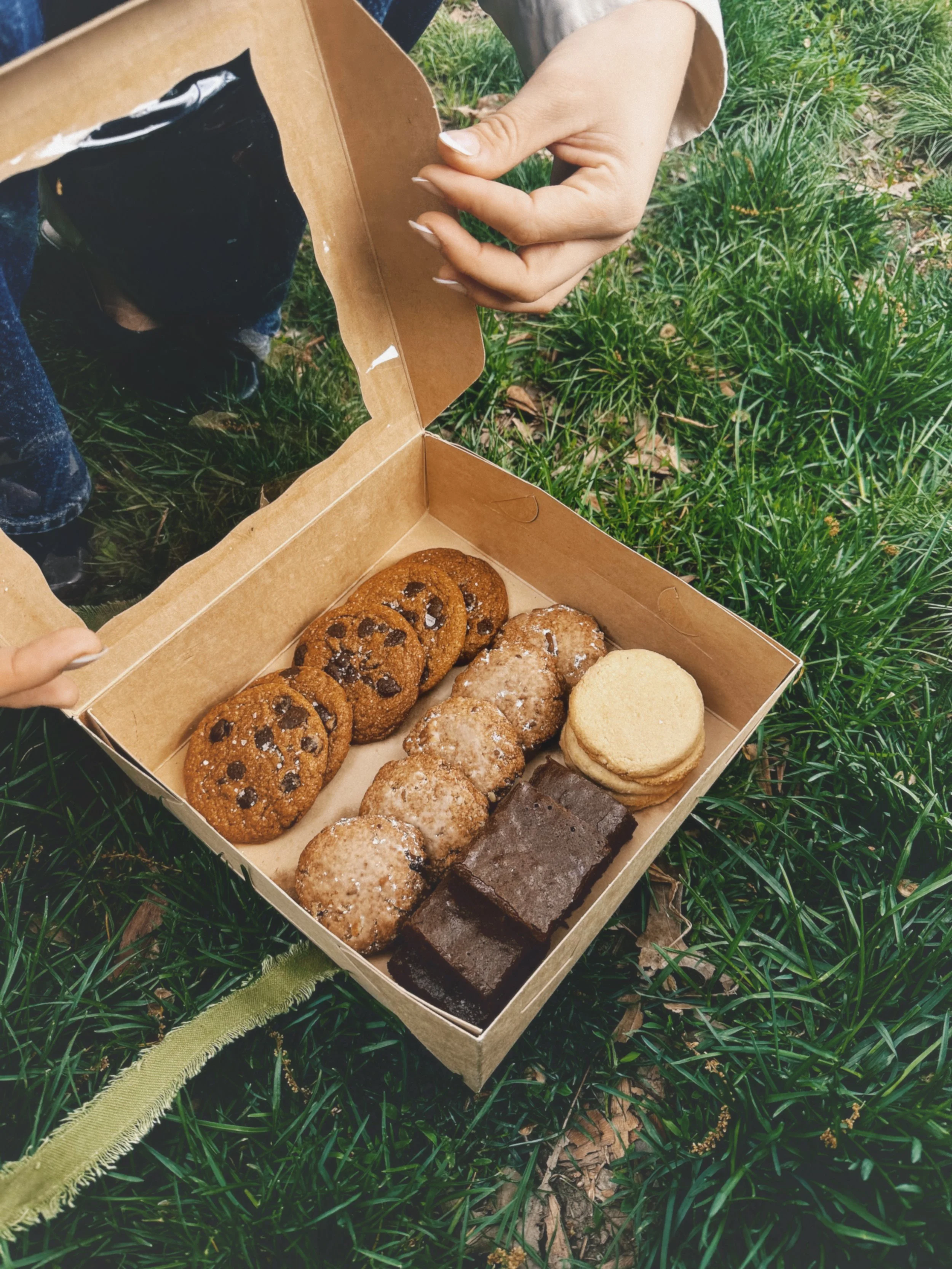 The Daily Bites Minis Box