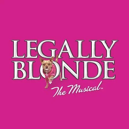 TAKE THE STAGE. THIS YEAR.
Be part of Legally Blonde (2026) &mdash; our first MainStage Musical Theater Workshop.

✨ January&ndash;March 2026 | 11 weeks of focused rehearsal, collaboration, and performance
🎤 Strengthen technique, coordination, and c