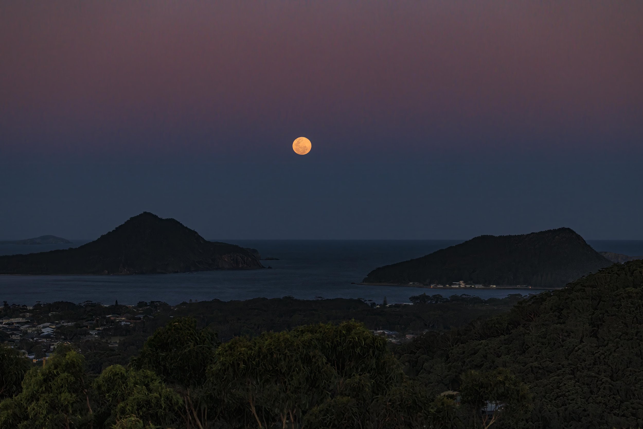 fullmoon0511253734905-Edit-Edit.jpg