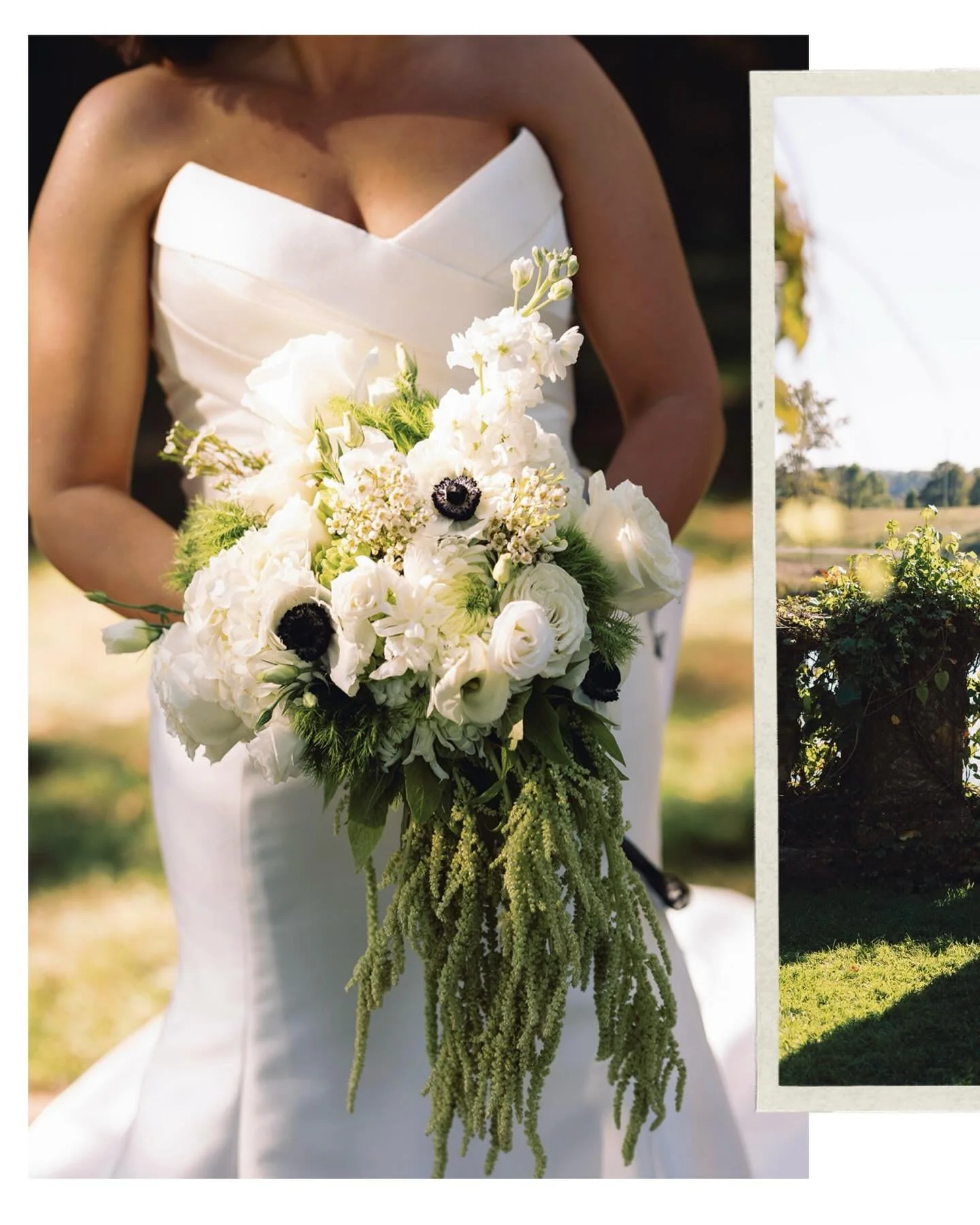 The Bartula&rsquo;s🌿

#2025 #designer #coordinator #florals 

📸: @maddybethunephoto