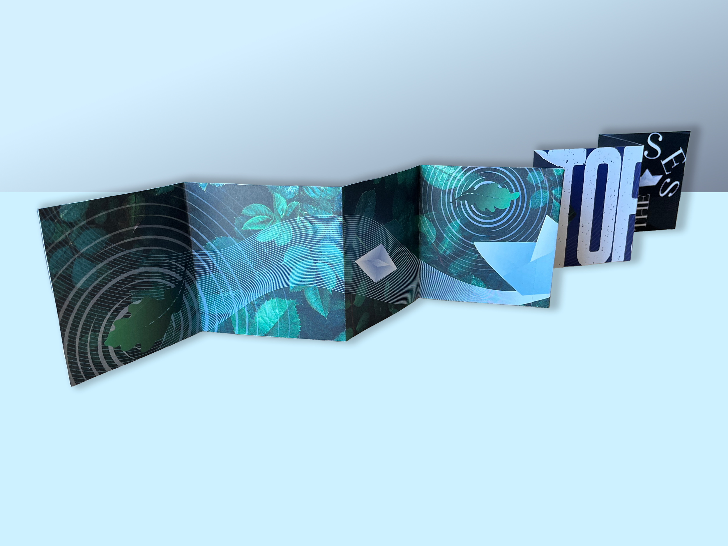 p13_43 mockup.png