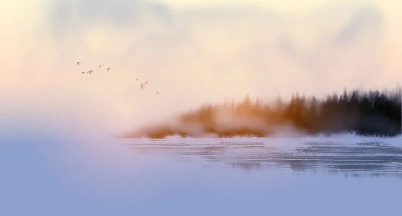 Birds fly over a misty lake at sunrise.
