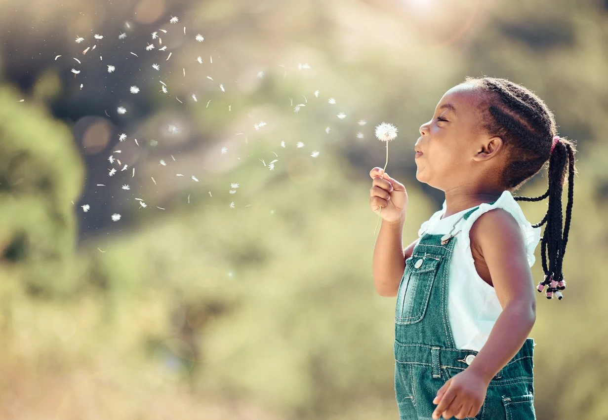 little girl blowing white dandelion flower in the field