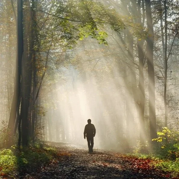 A lone figure walks through sunlit, misty forest path.