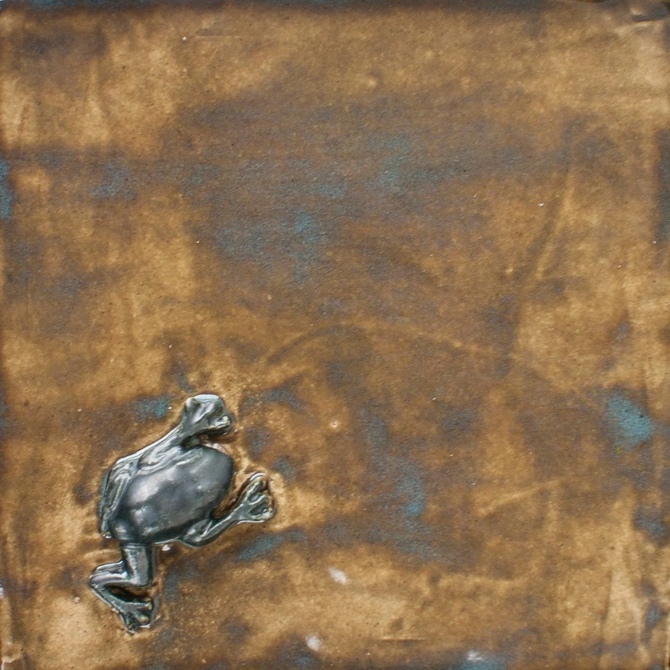 Frog, hand~built ceramics, 2016