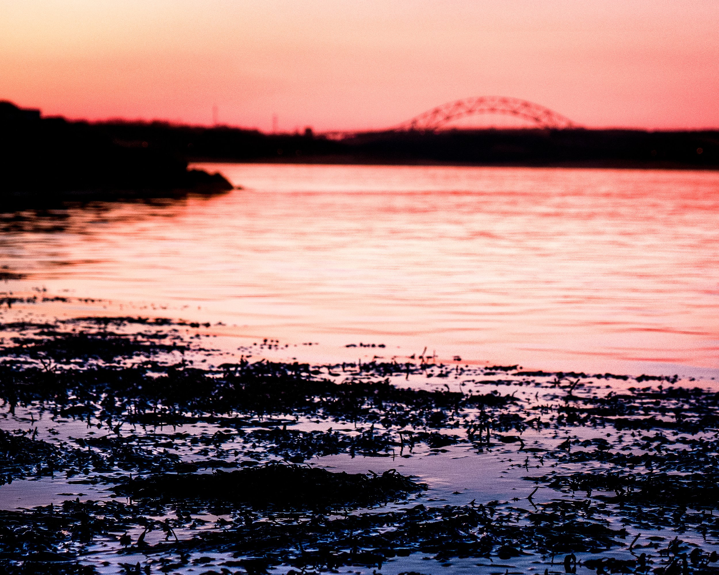 cape cod.jpg