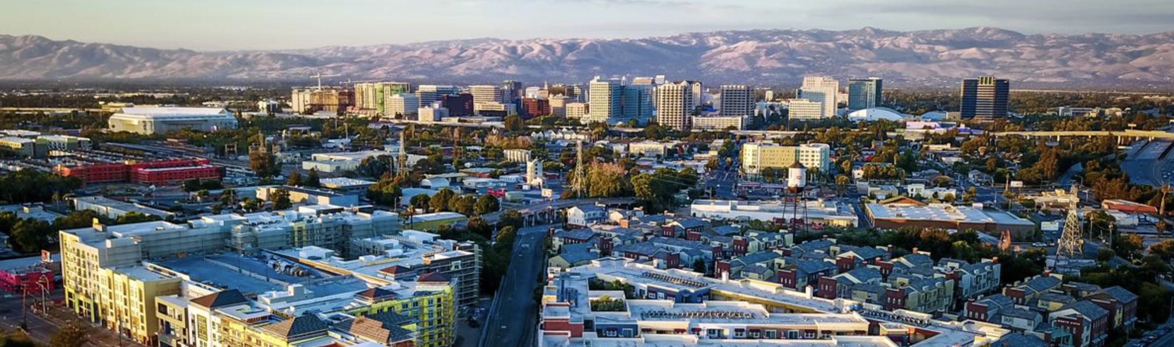 San Jose Tree Health Assessment