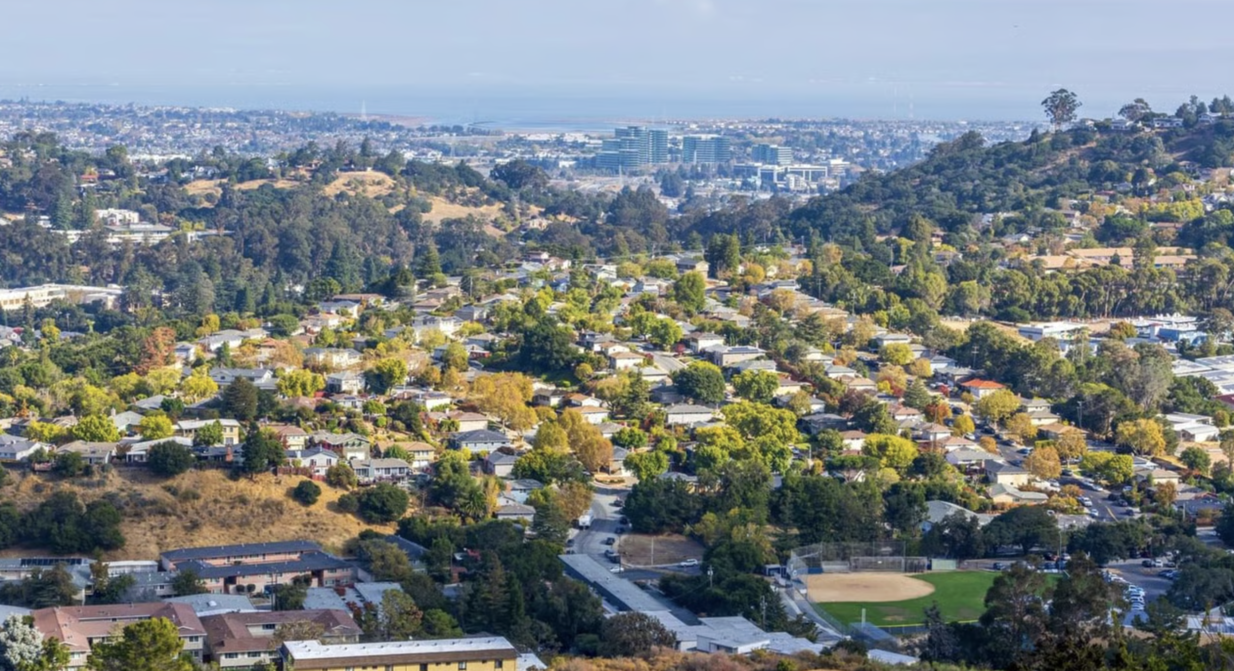 San Mateo Arborist Consultant