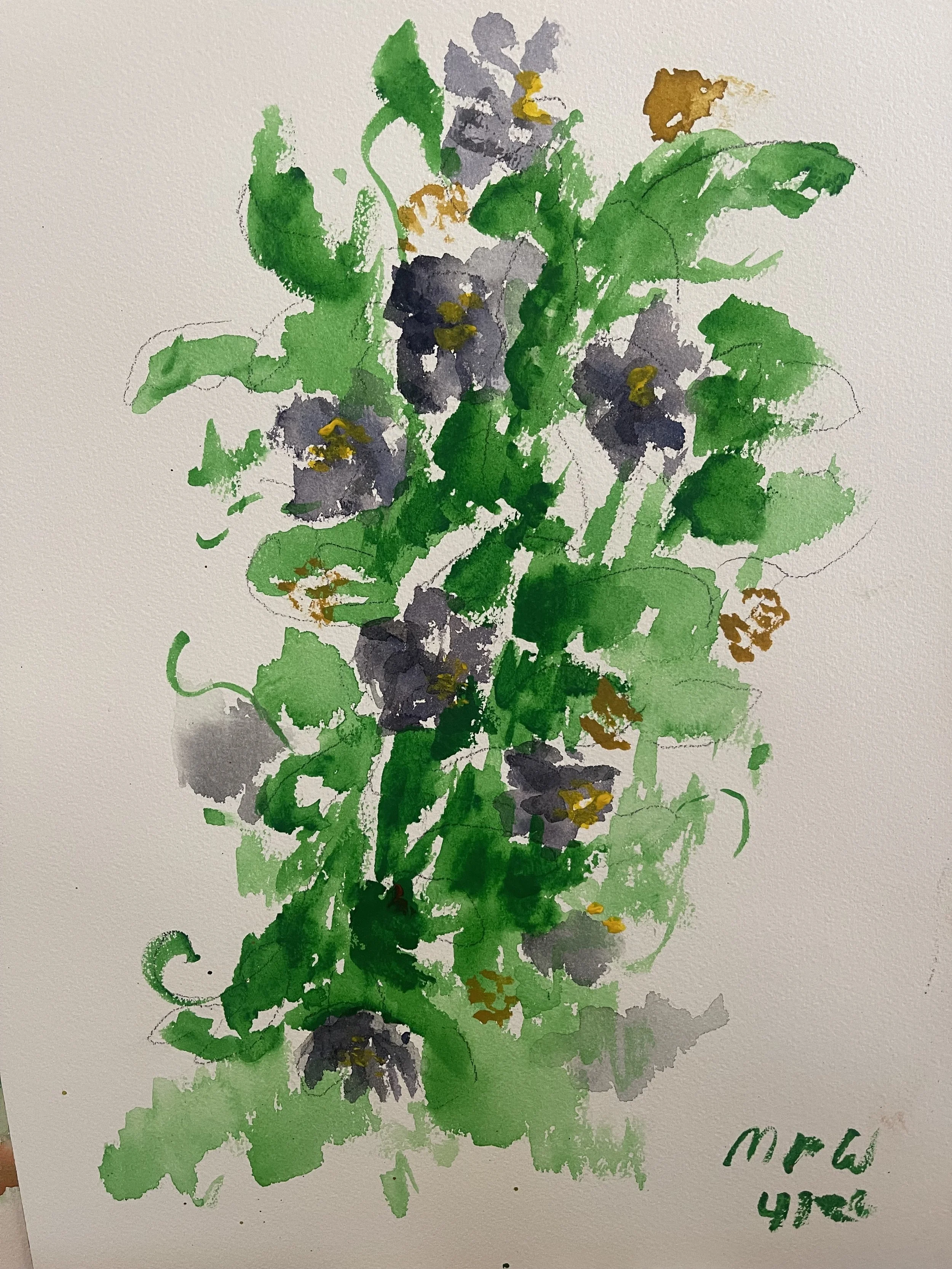 Purple Clematis, Watercolor