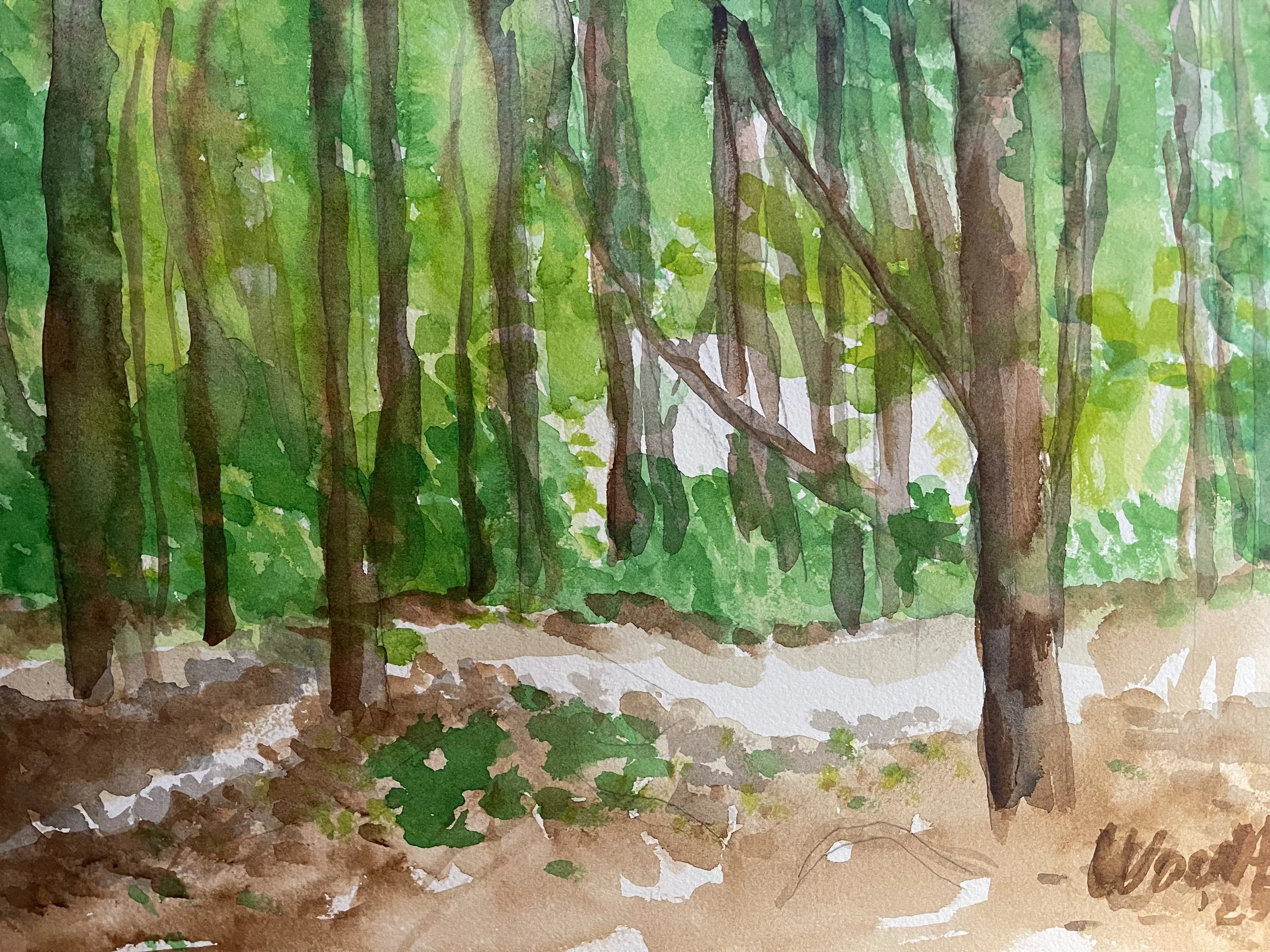 Spots of Sun in the Woods, Original Watercolor, 12x16"