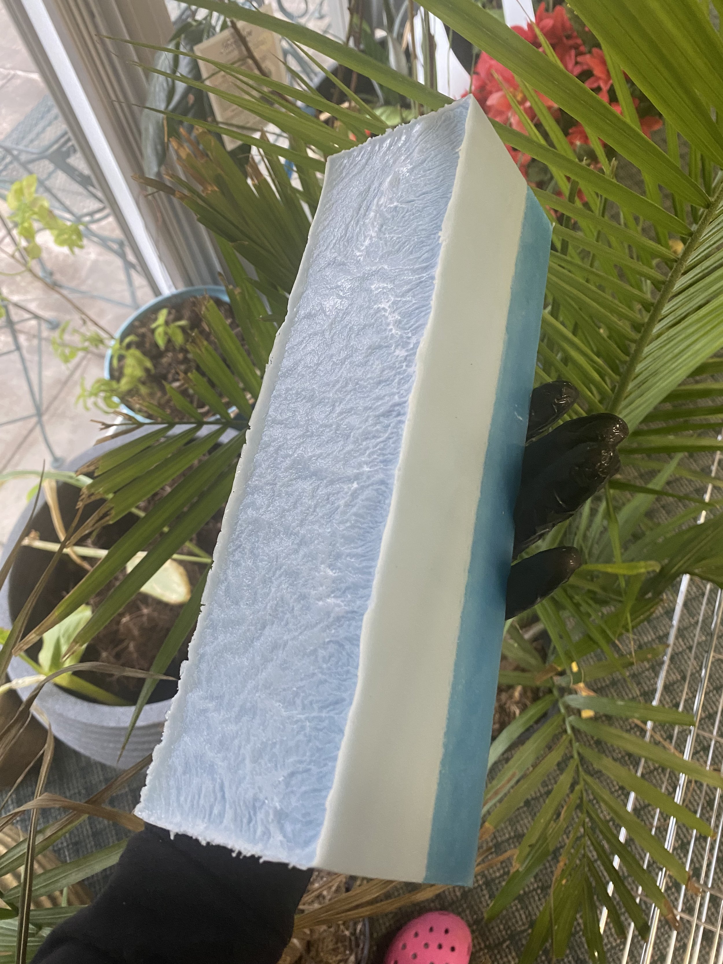 Oceana Soap Bar