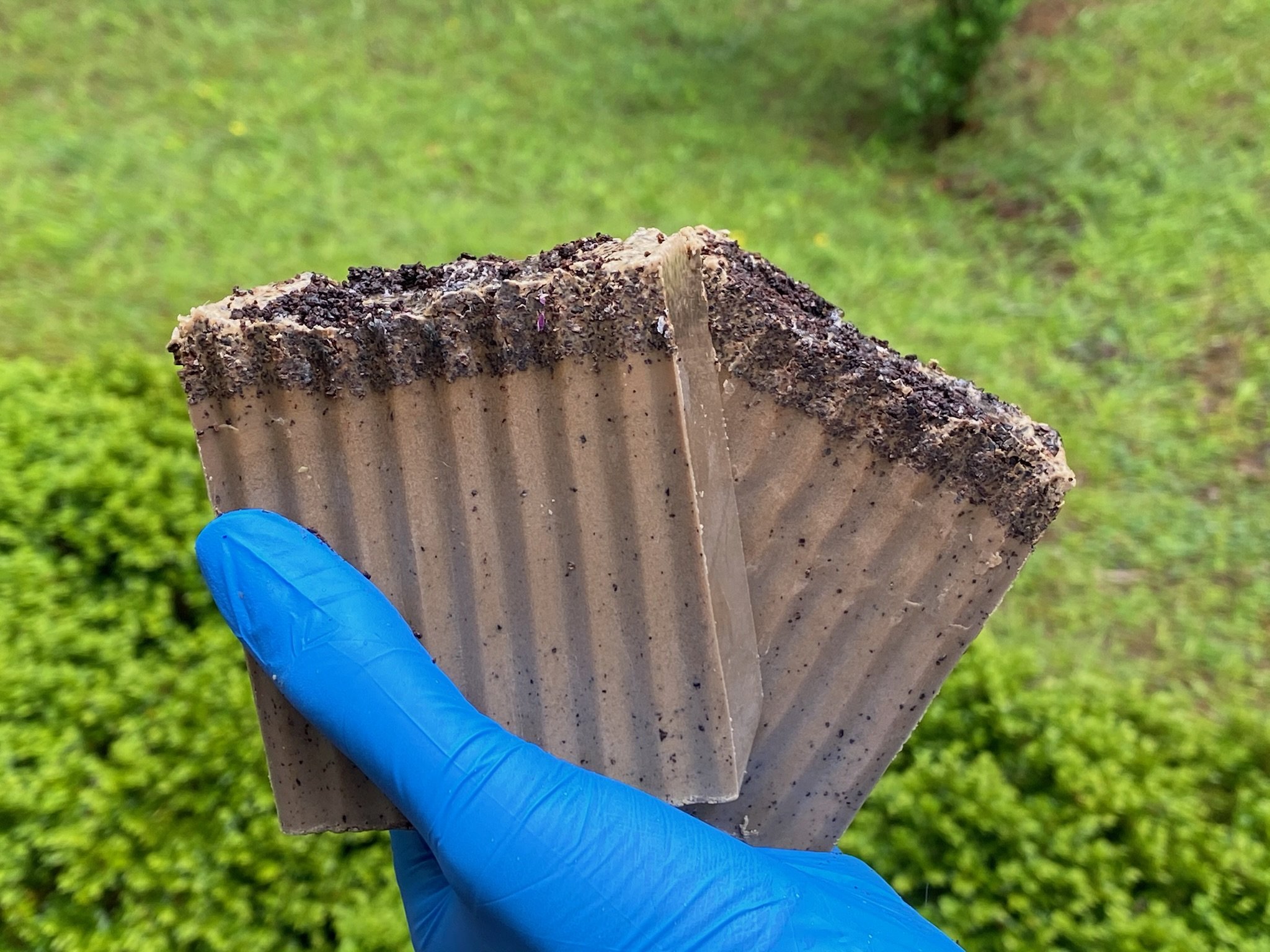 Coffee & Cream Exfoliating Detox Bar