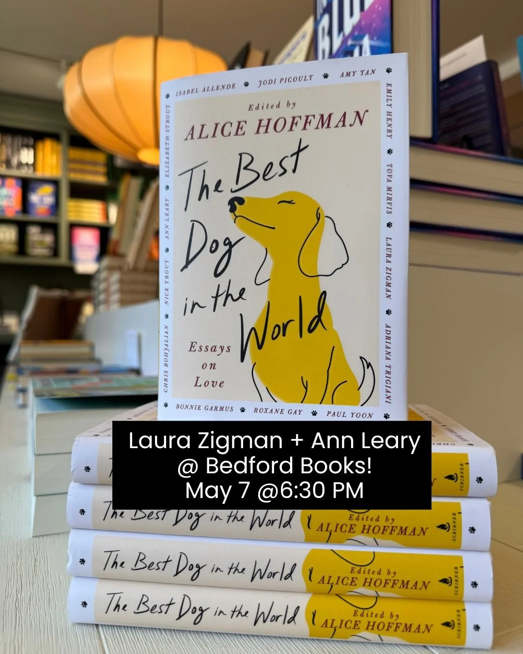 I never used to be a dog person&hellip; until Rocky Hauser came into our lives 🐾💛
(After years of begging and pleading by our boys.)

Now? Rocky is the king of our family. No question.

I loved reading 𝘛𝘩𝘦 𝘉𝘦𝘴𝘵 𝘋𝘰𝘨 𝘪𝘯 𝘵𝘩𝘦 𝘞𝘰𝘳𝘭𝘥,