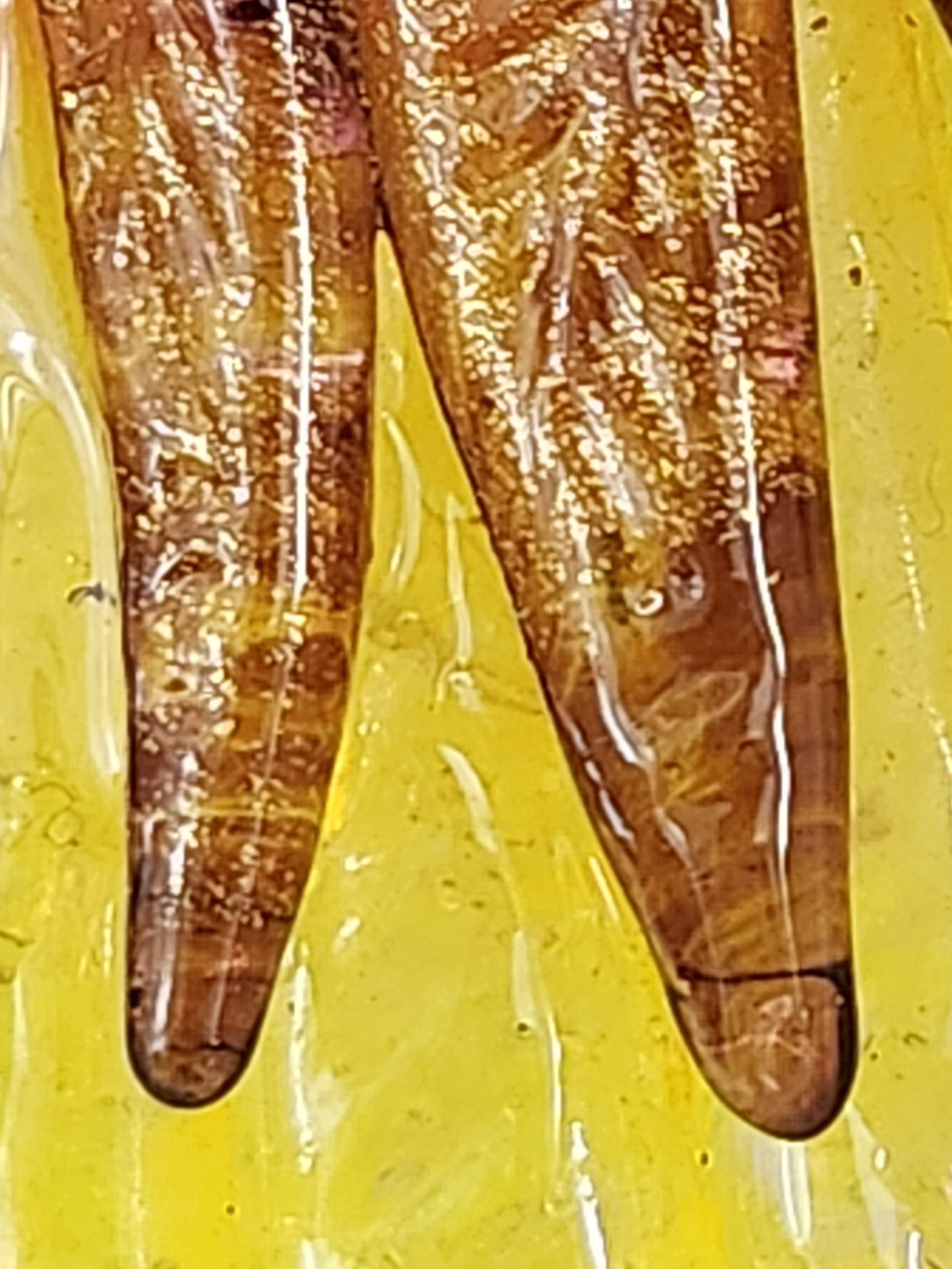 processed_77beb312a1674caba9f5fd5d1fe61302.jpeg