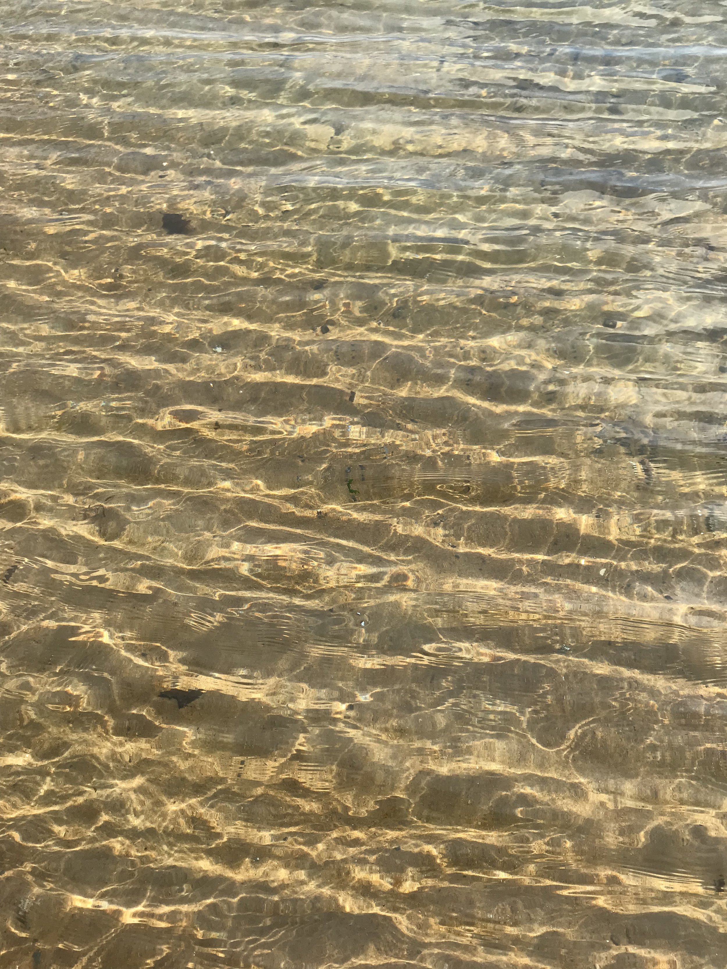 Ripples.JPG