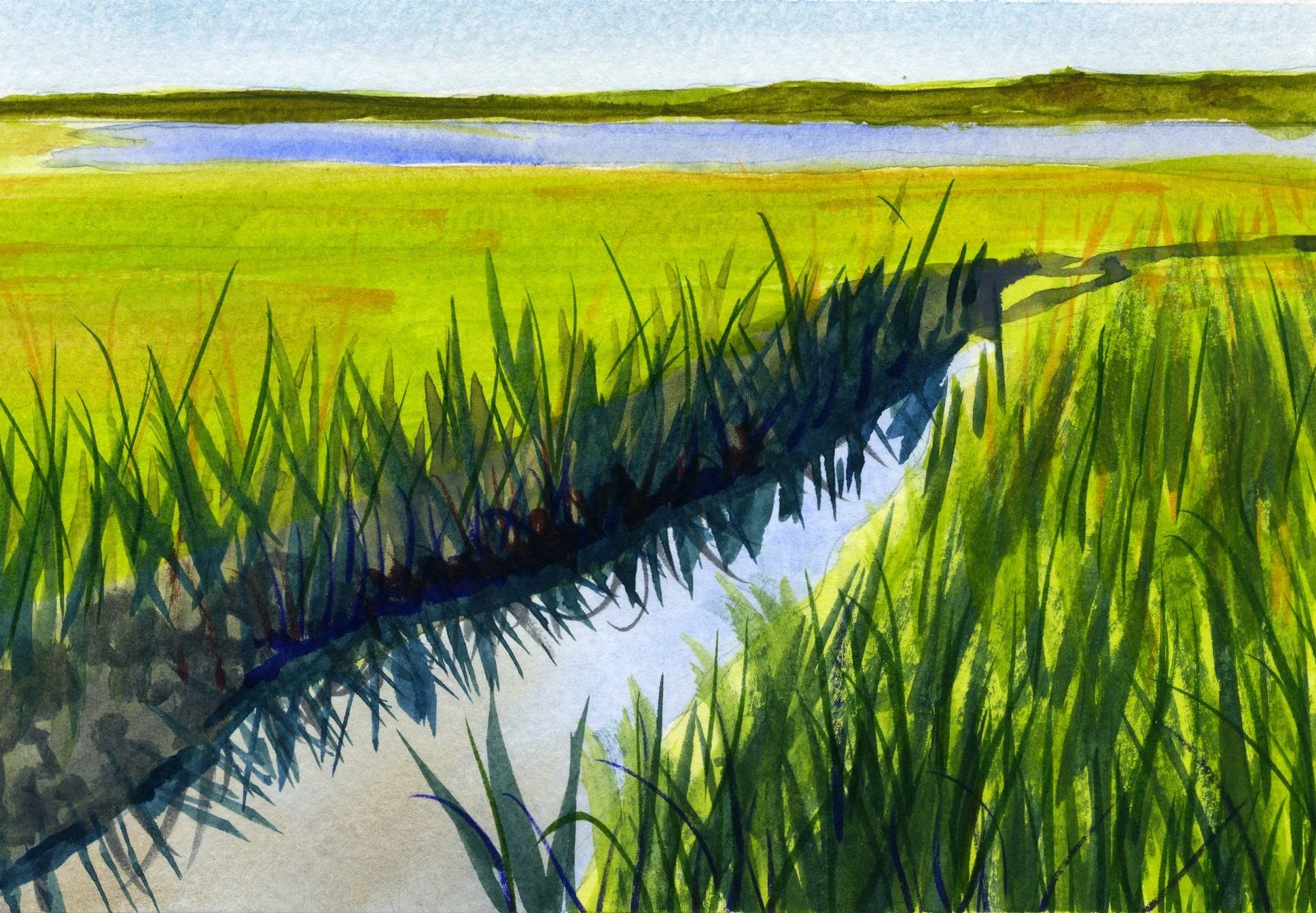 Wandering Study