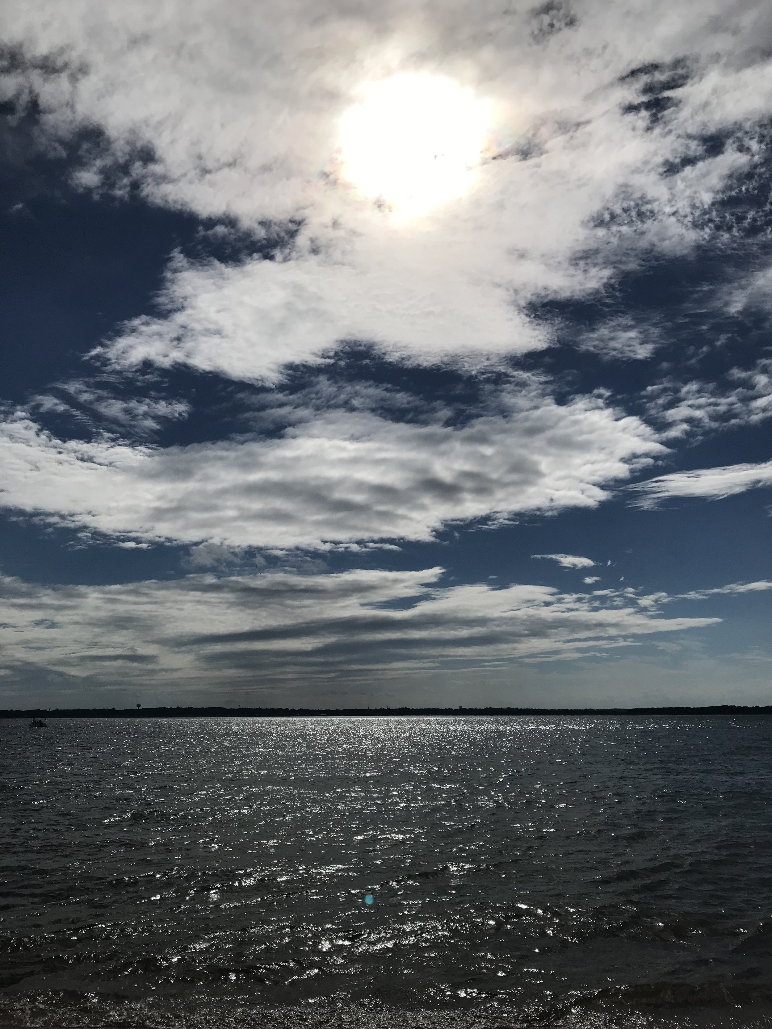 Plum Island Blustery.JPG