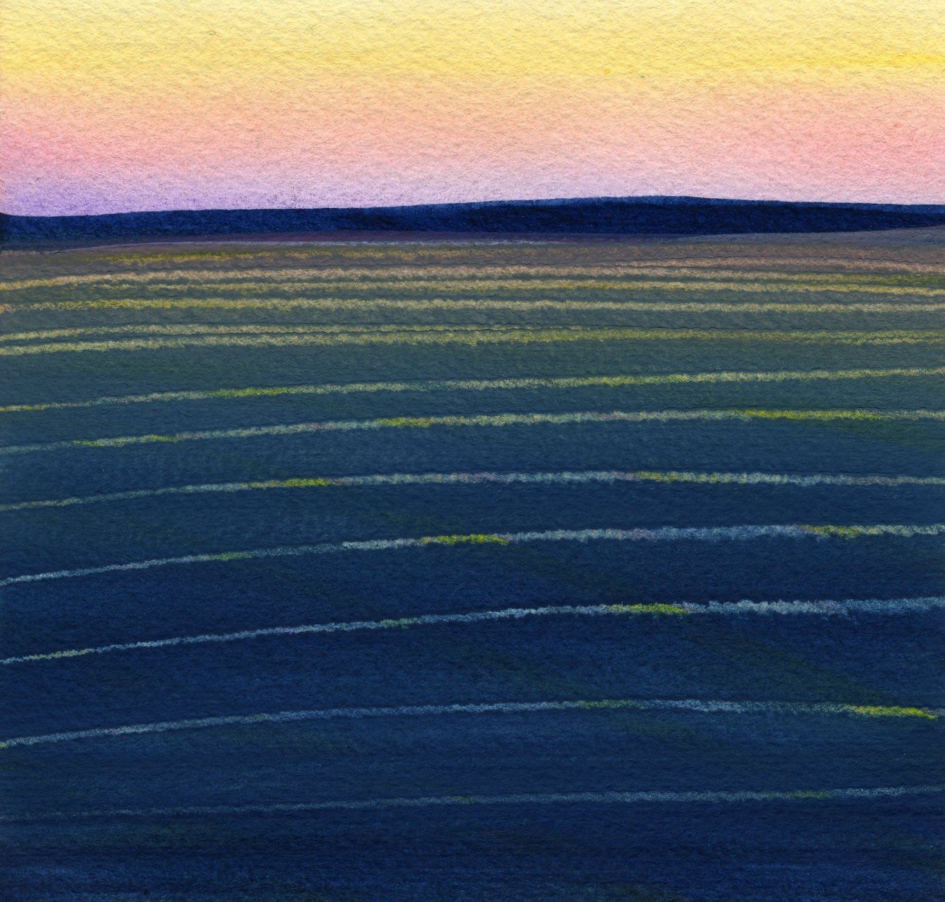 Plum Island #10