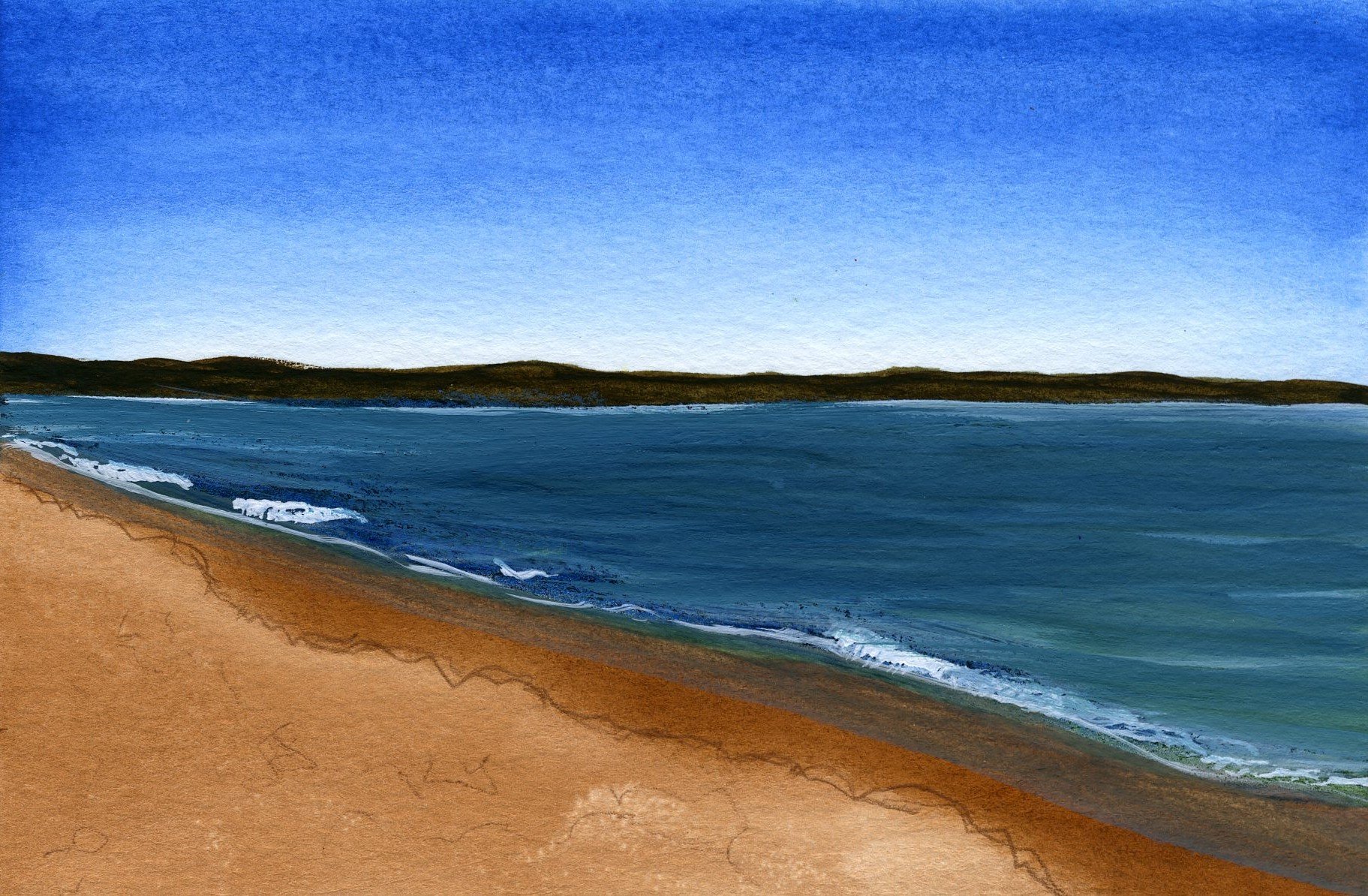 Plum Island #11