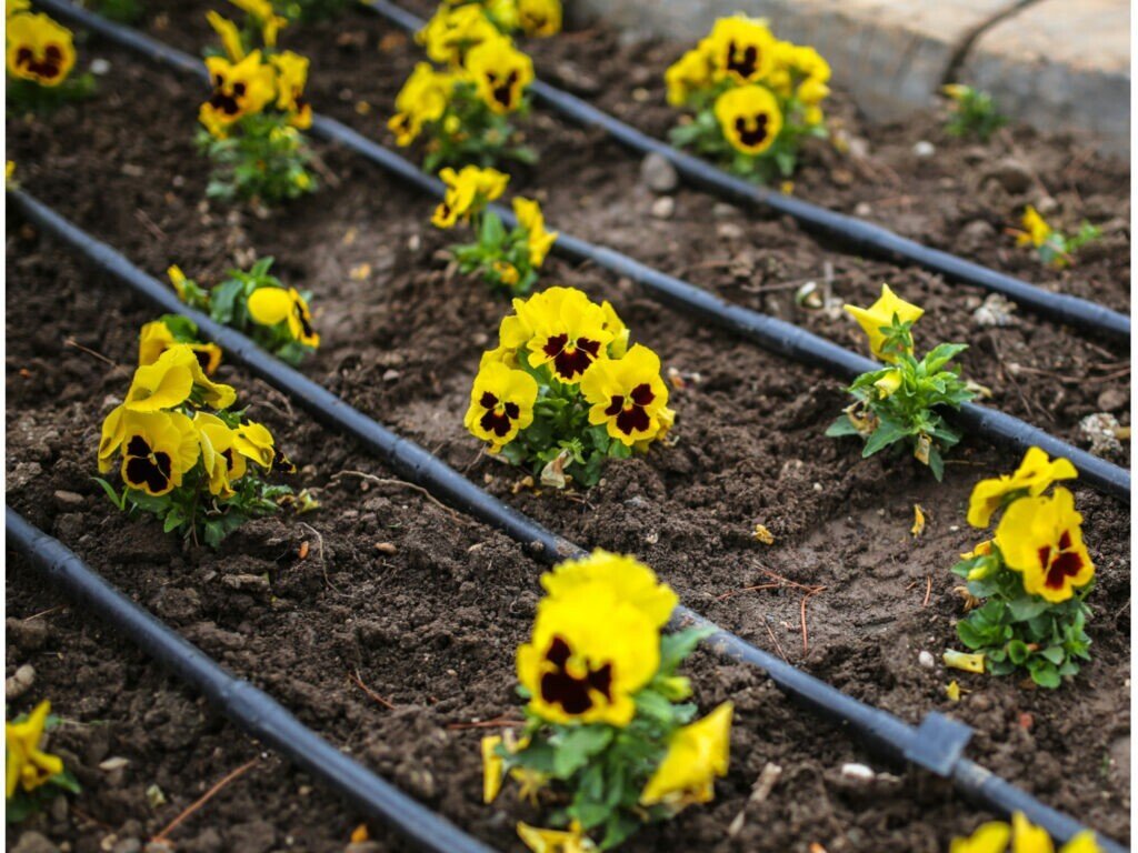 Irrigation system used to water flower bed