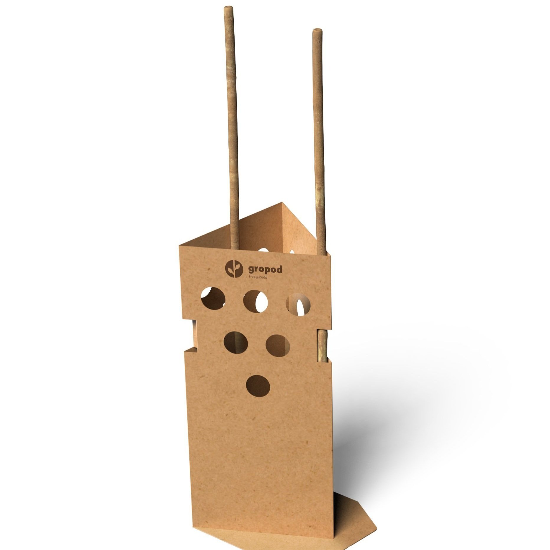 standard with sticks.jpg