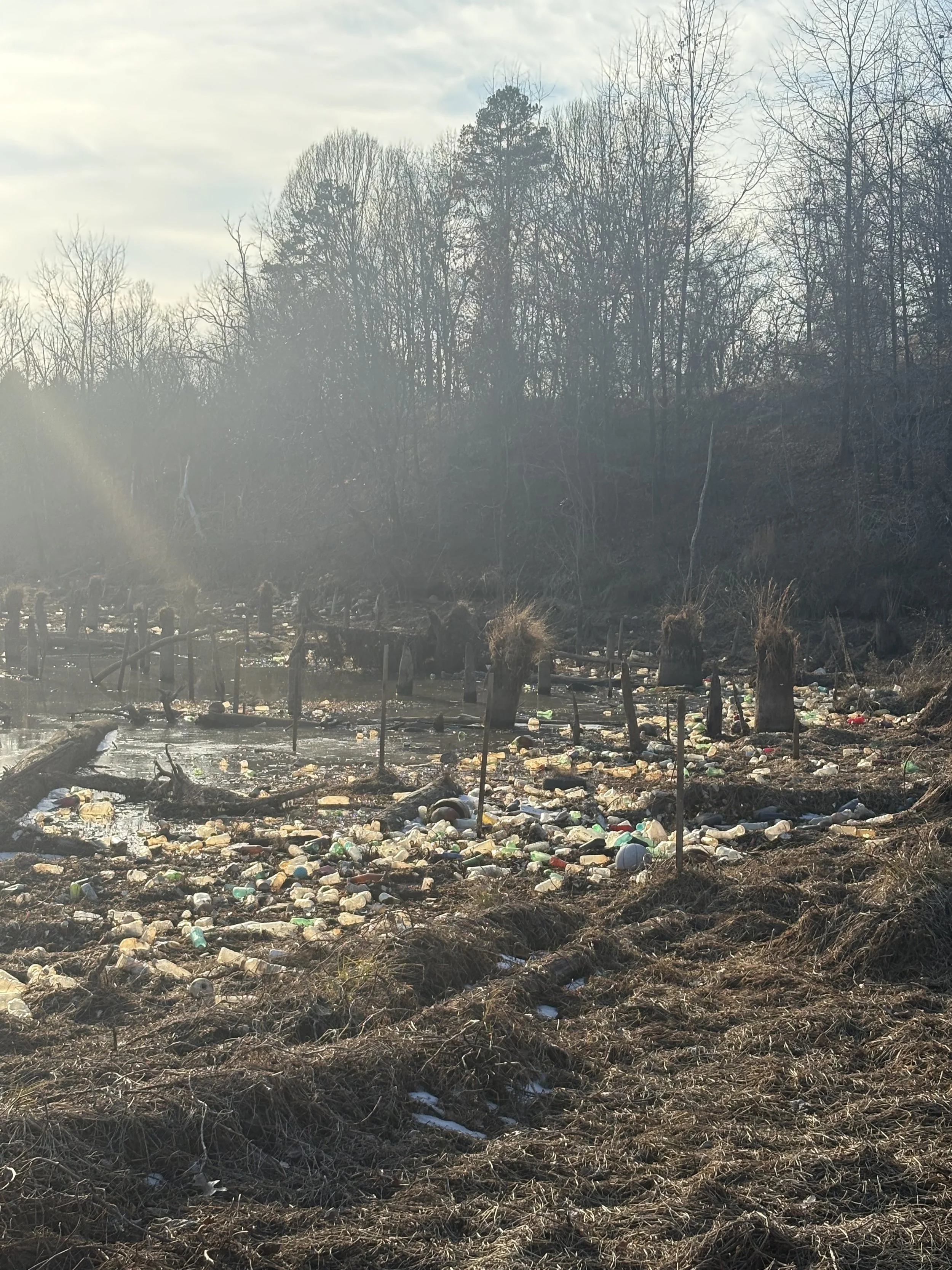 Major Huge Massive Cleanup on Richland Creek, Jamestown, NC