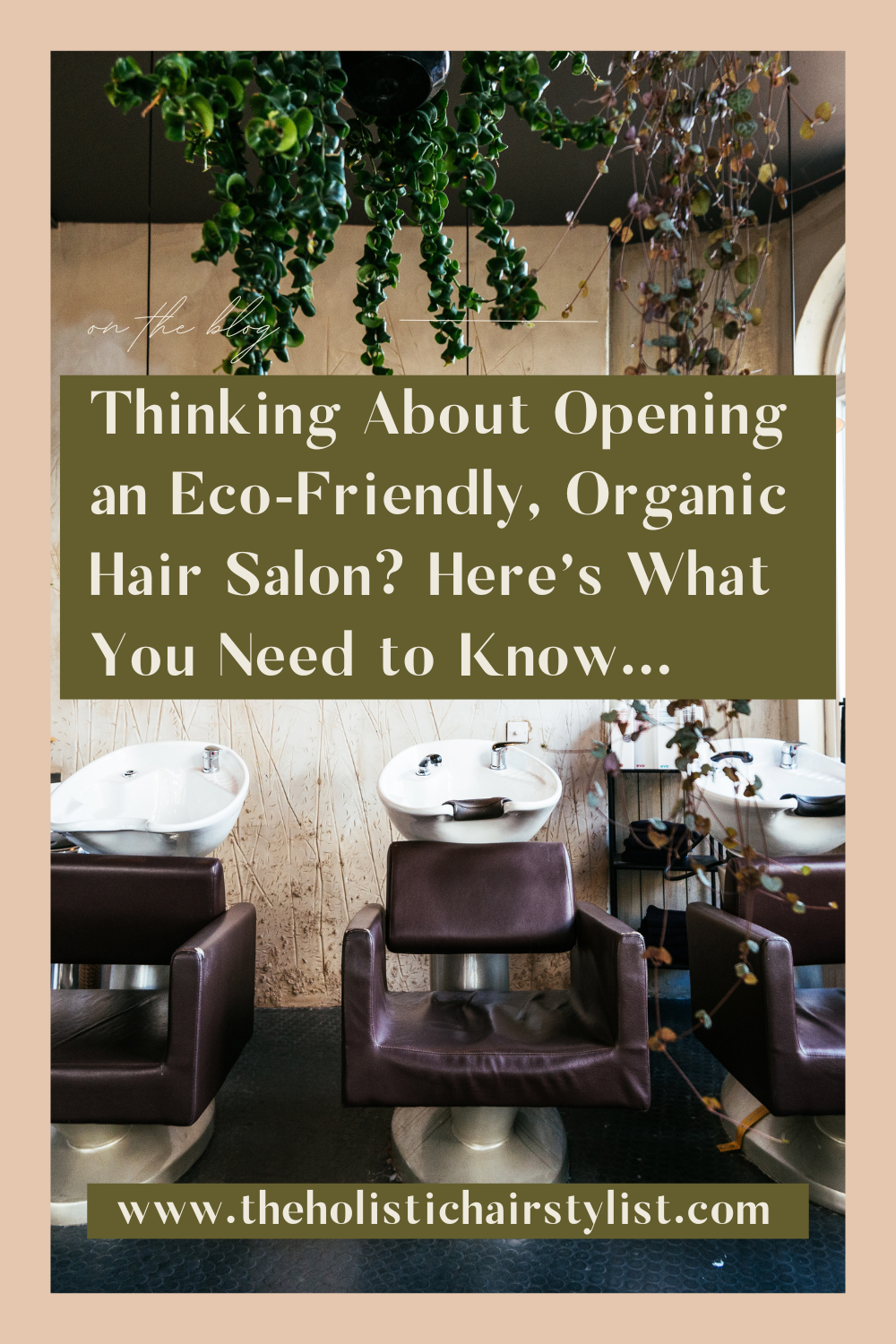 Thinking About Opening an Eco-Friendly, Organic Hair Salon? Here’s What You Need to Know