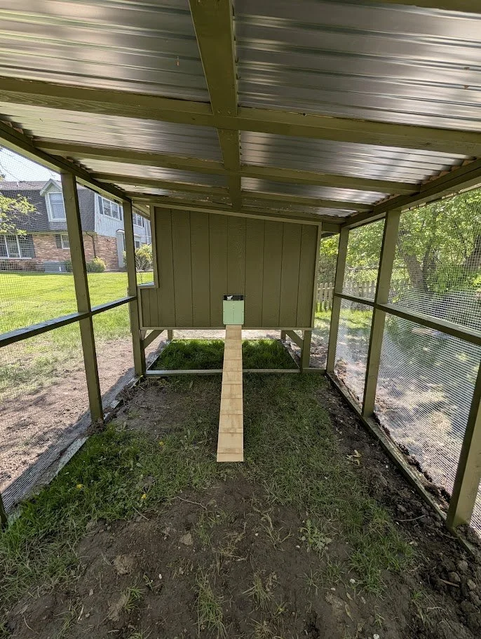 Custom Chicken Coop & Run
