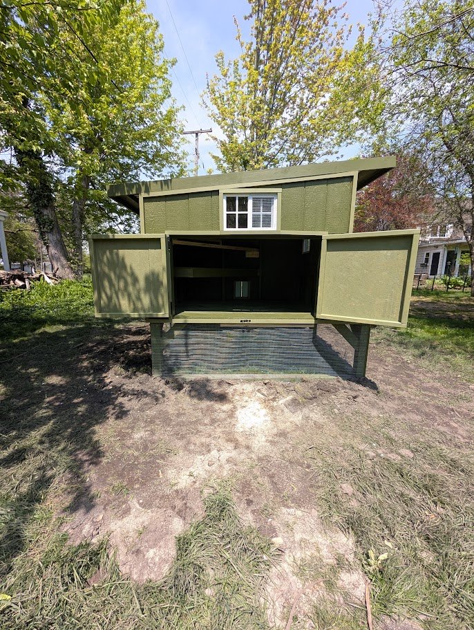Custom Chicken Coop & Run