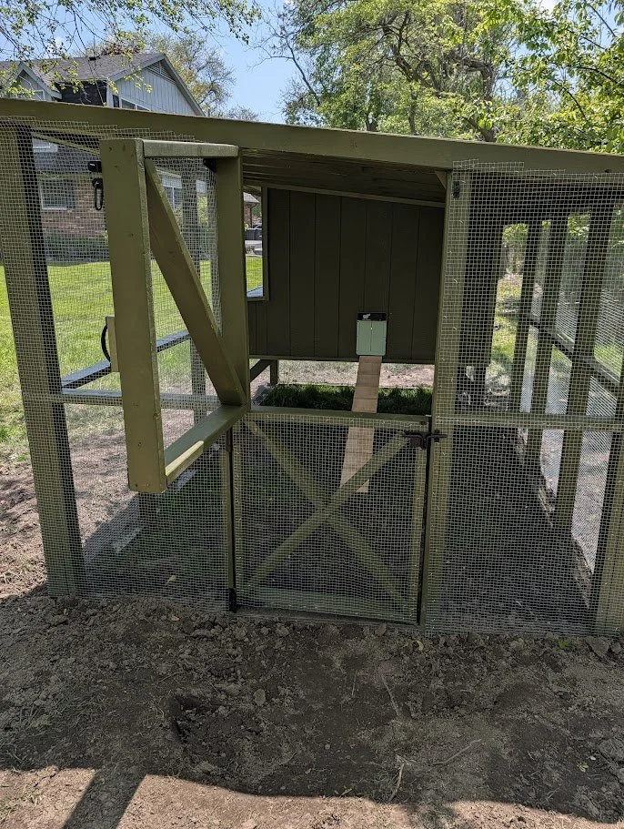 Custom Chicken Coop & Run