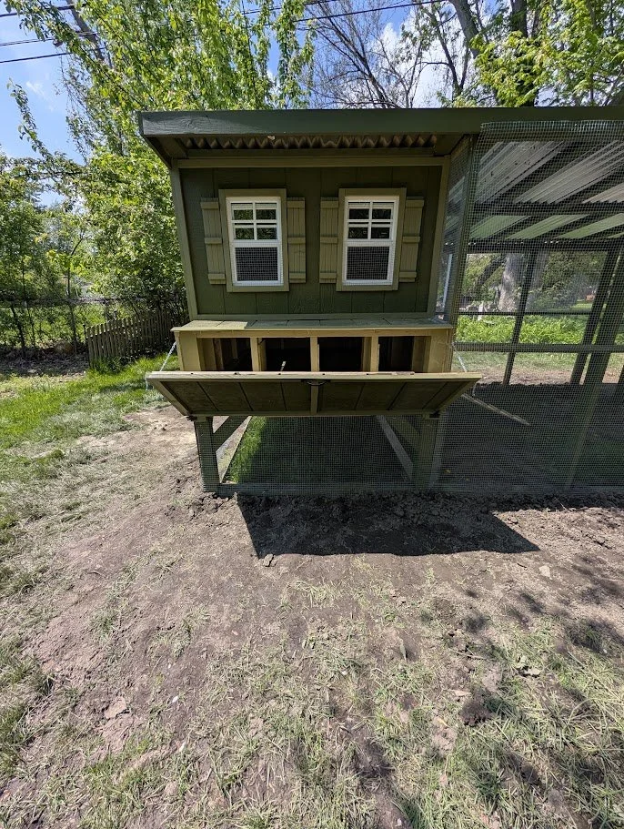 Custom Chicken Coop & Run