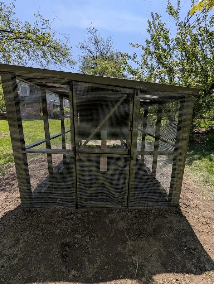 Custom Chicken Coop & Run