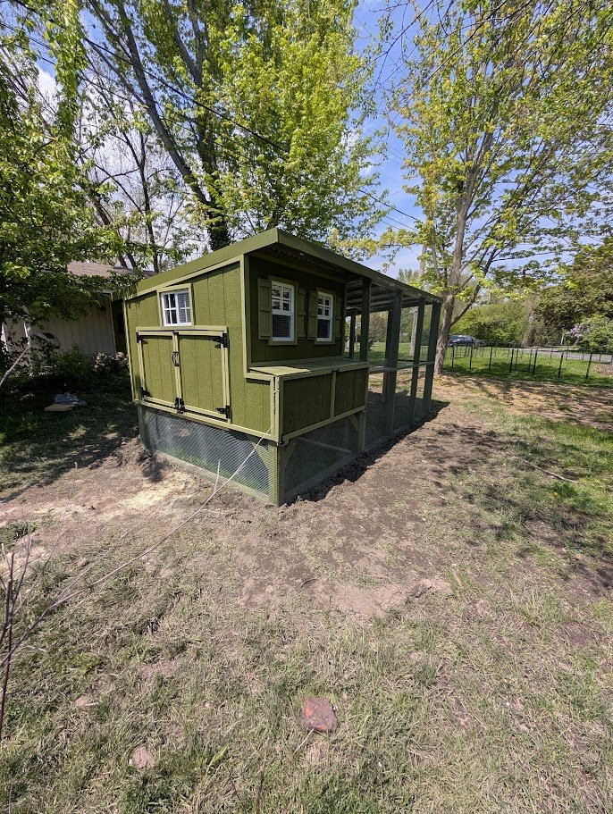 Custom Chicken Coop & Run