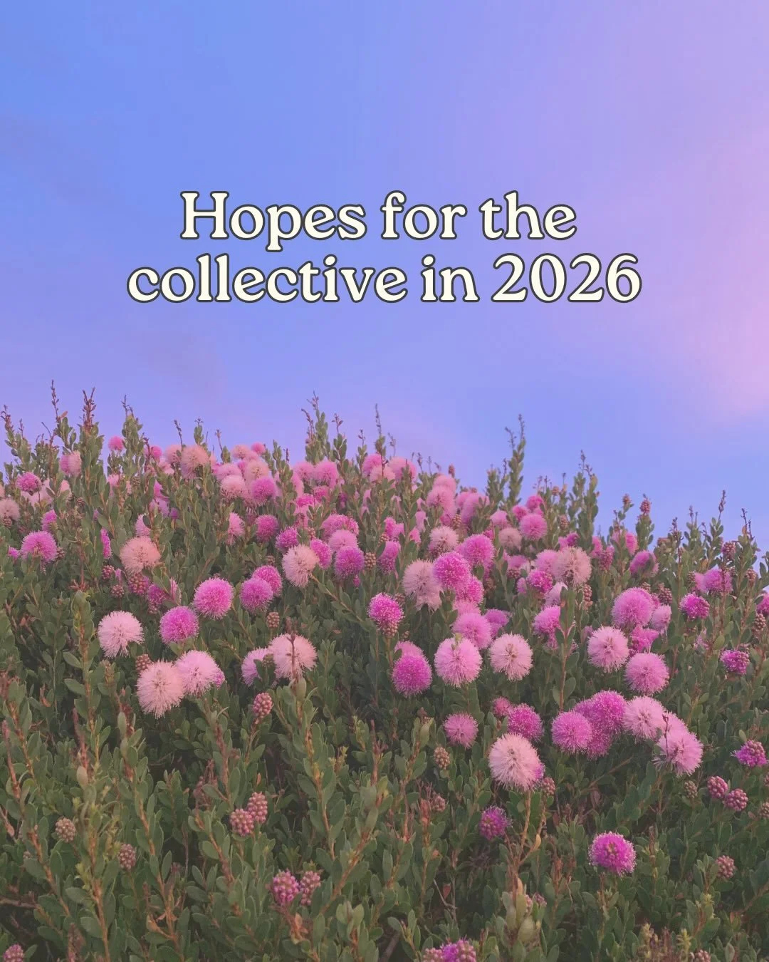 a few hopes as we begin 2026, 🐍 winding down our shedding season in the year of the snake and lining up at the starting line for the year of the fire horse ❤️&zwj;🔥 🐎 

💟 What are you hoping for?