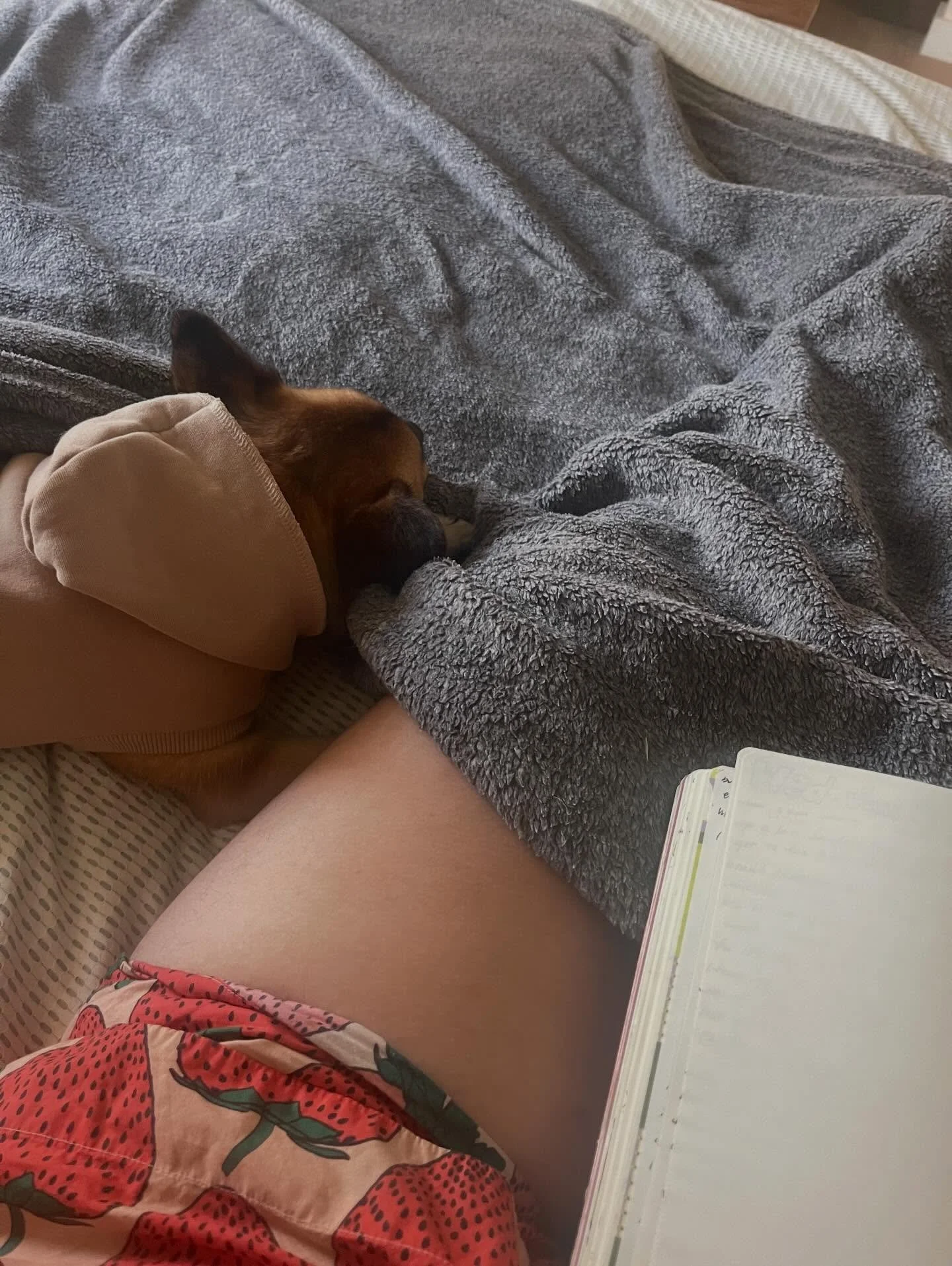 Guided journaling sesh at the loveliest + sweetest @practiceopenform studio this Sunday! 11am ☀️ sliding scale pricing. 

🌷 As the month prompts many to focus on romantic love, this is an invitation to pause and turn that loving lens inward to yours