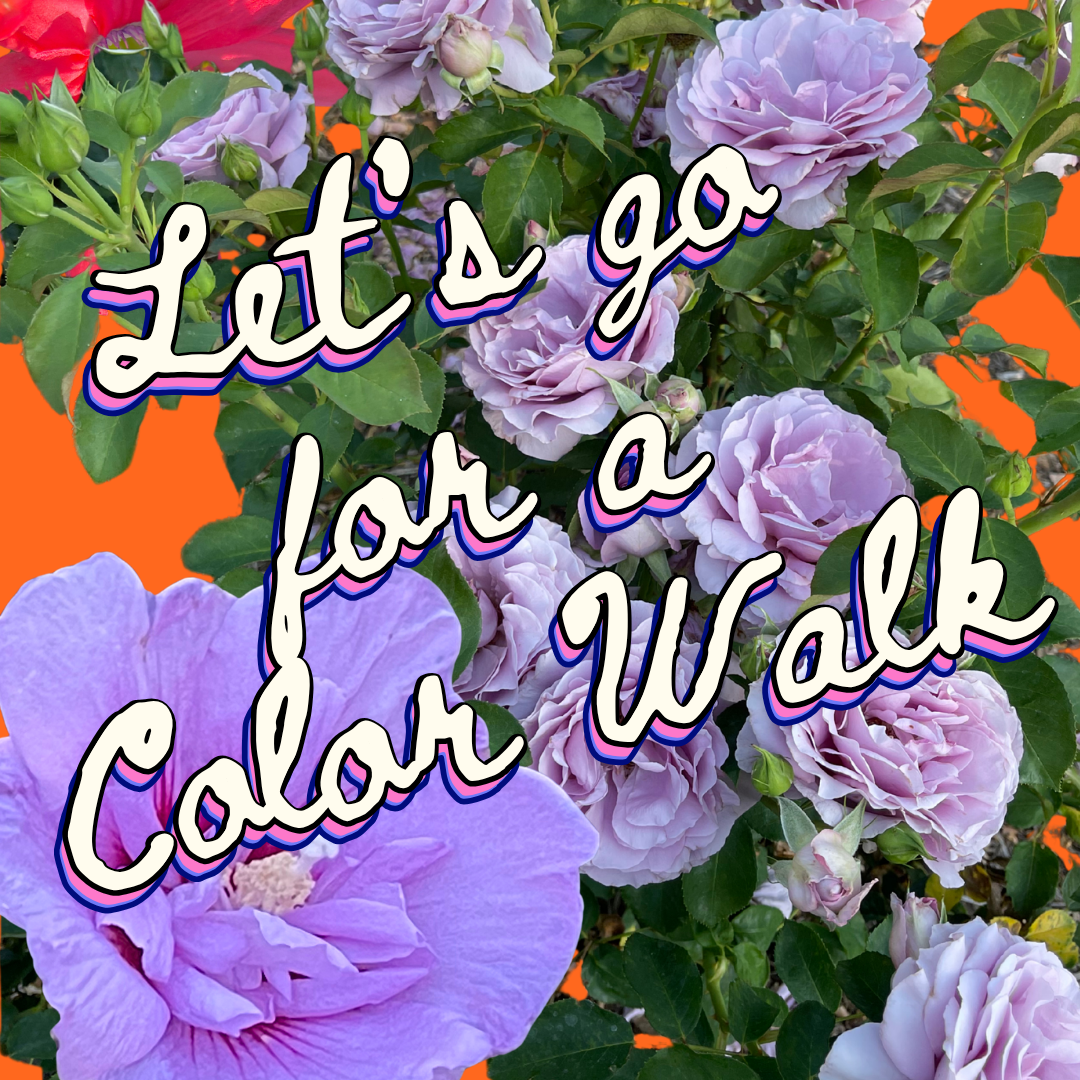 Let’s Go for a Color Walk