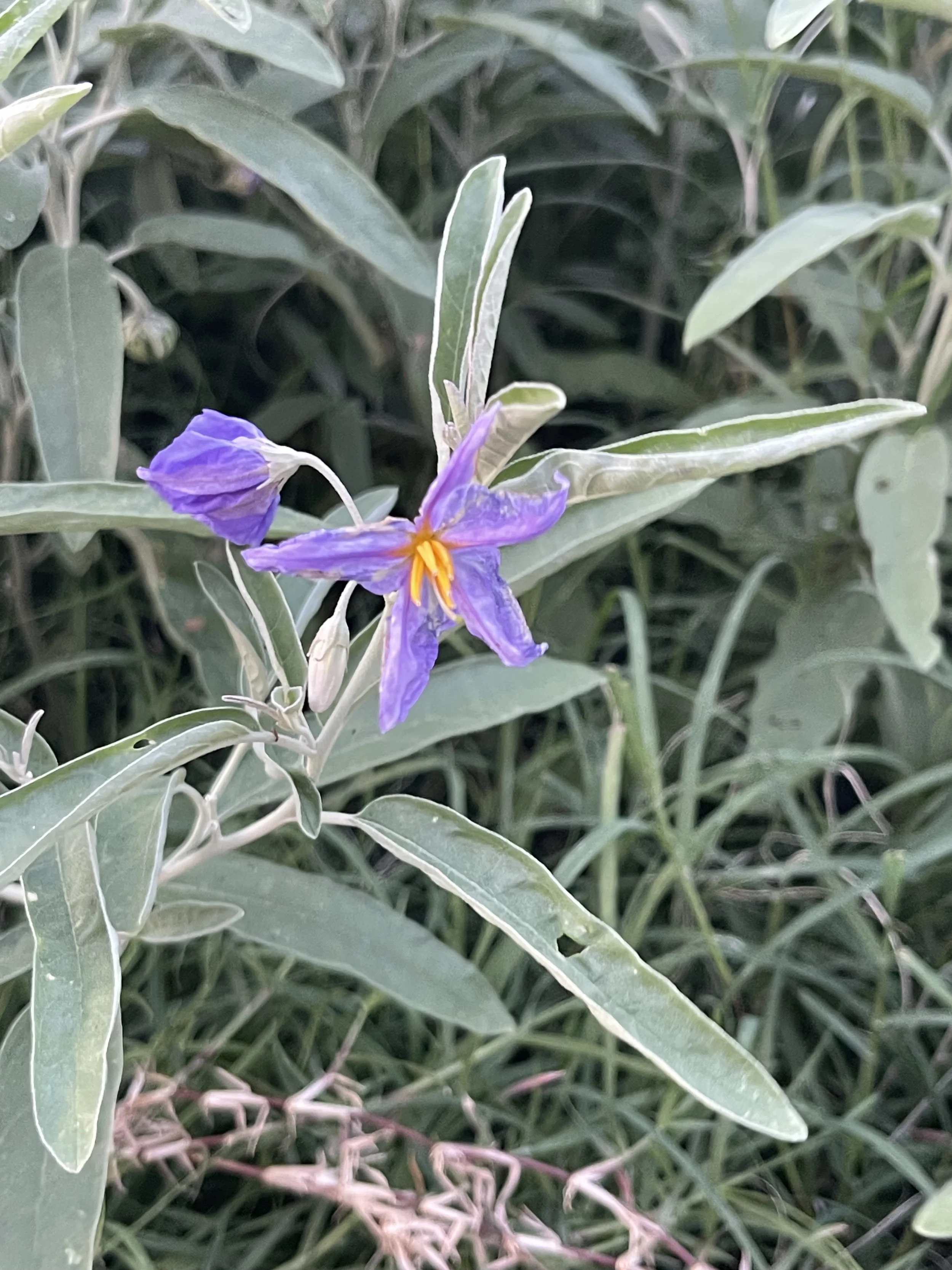 IMG_9494.jpeg