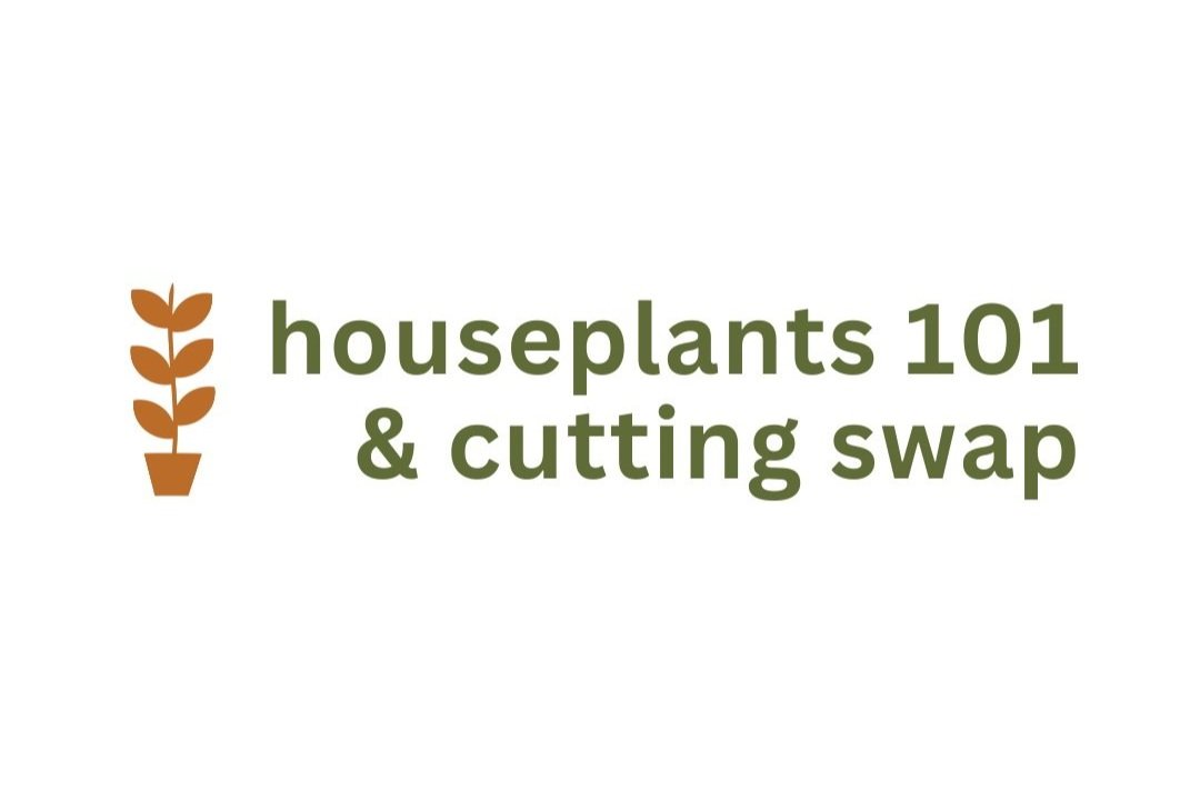 houseplants 101 & cutting swap