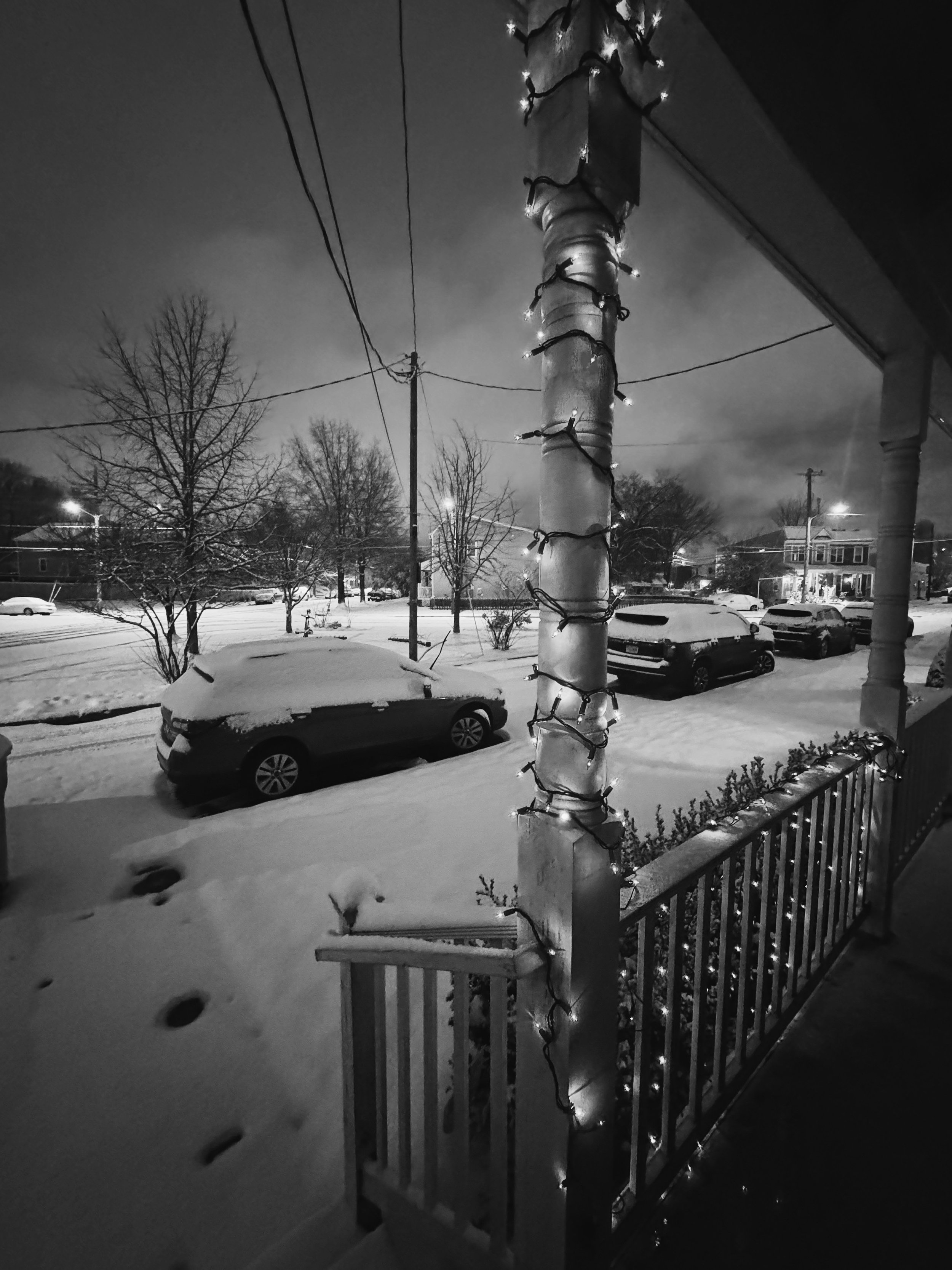 Reflections in the Quiet Snow